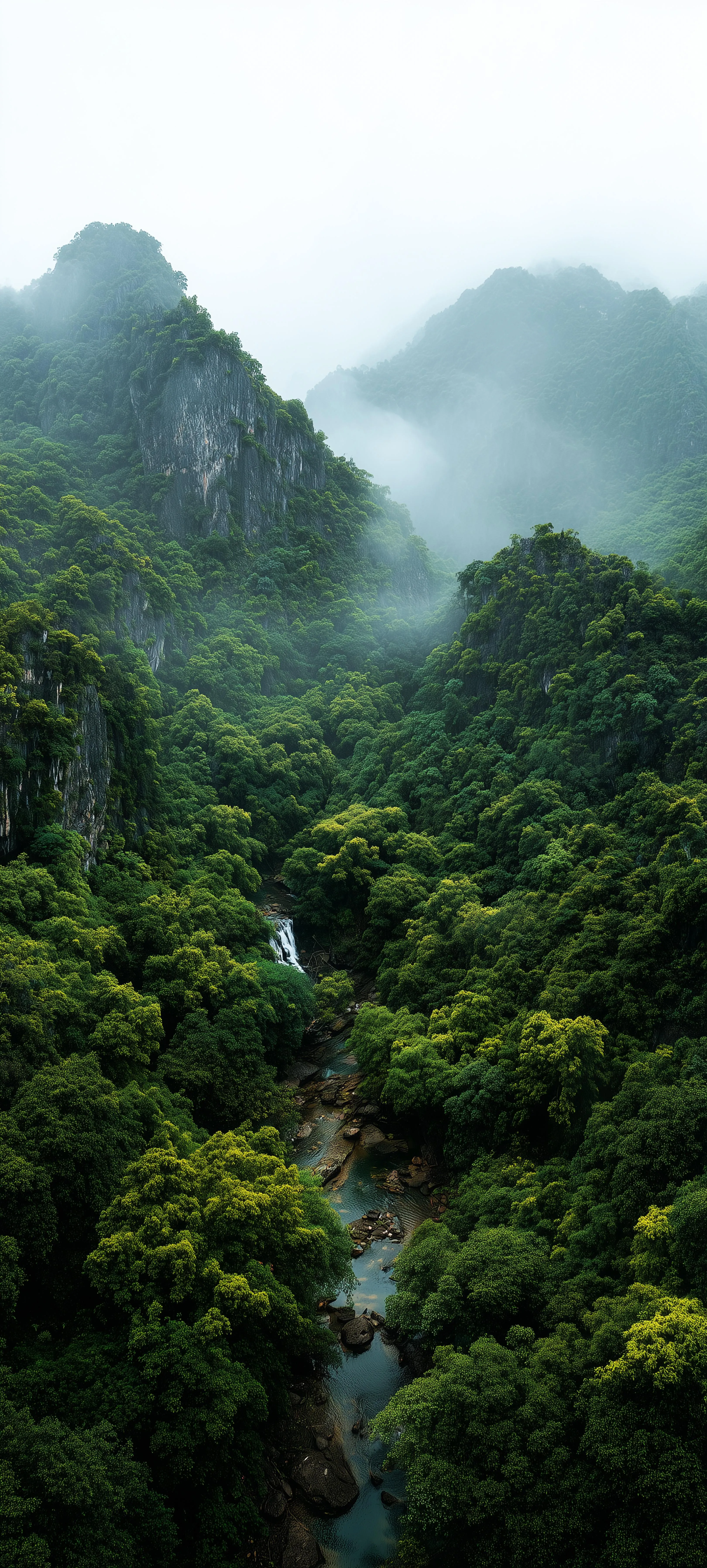 Foggy Mountain Landscape Covered in Green Forest Wallpaper