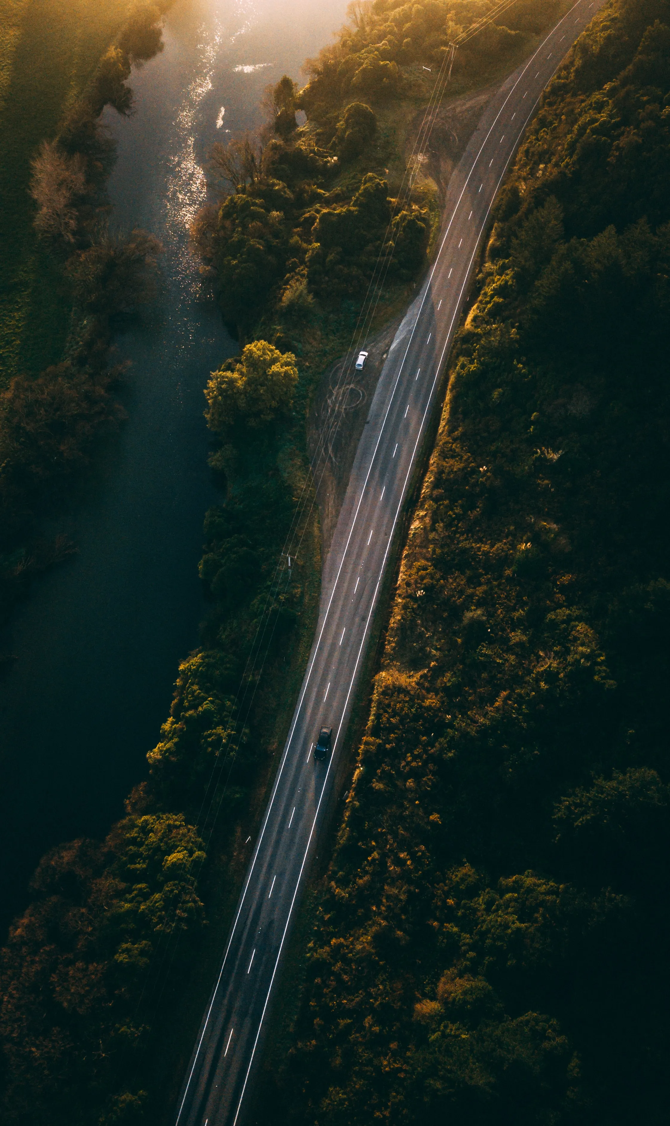 Forest Road Surrounded by Green Trees in Sunset Light