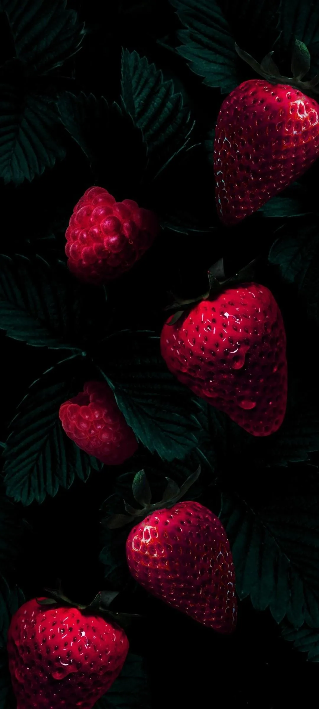 Fresh Strawberries in Dark Red Juicy Lighting Wallpaper