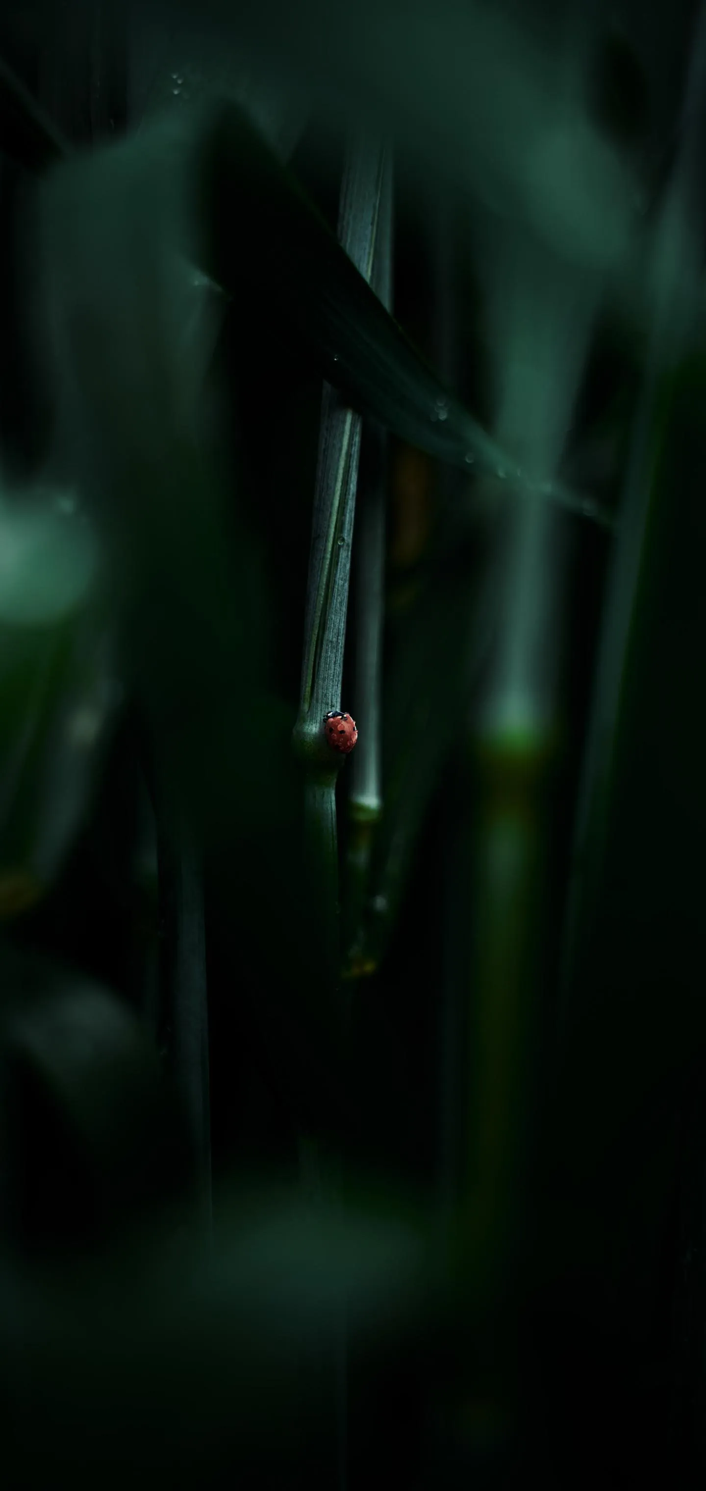 Futuristic Green Leaves with Bug in Dark Digital Effect