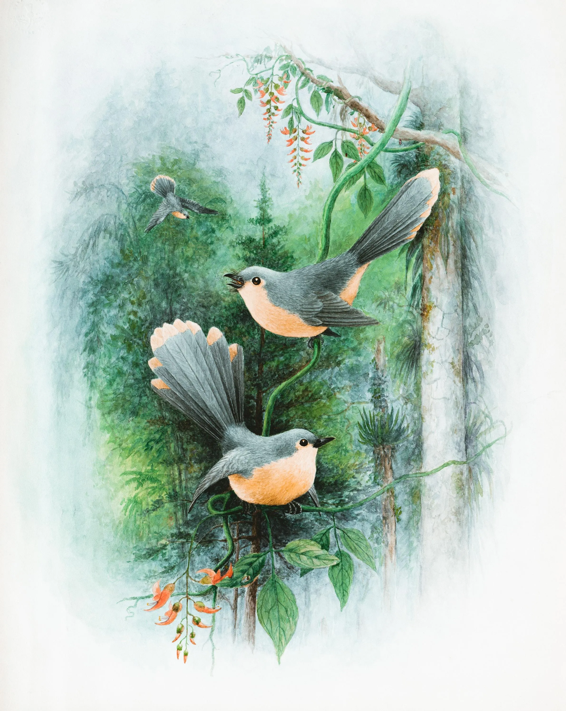 Gentle Birds Resting on Branches in a Soft Clay Painting
