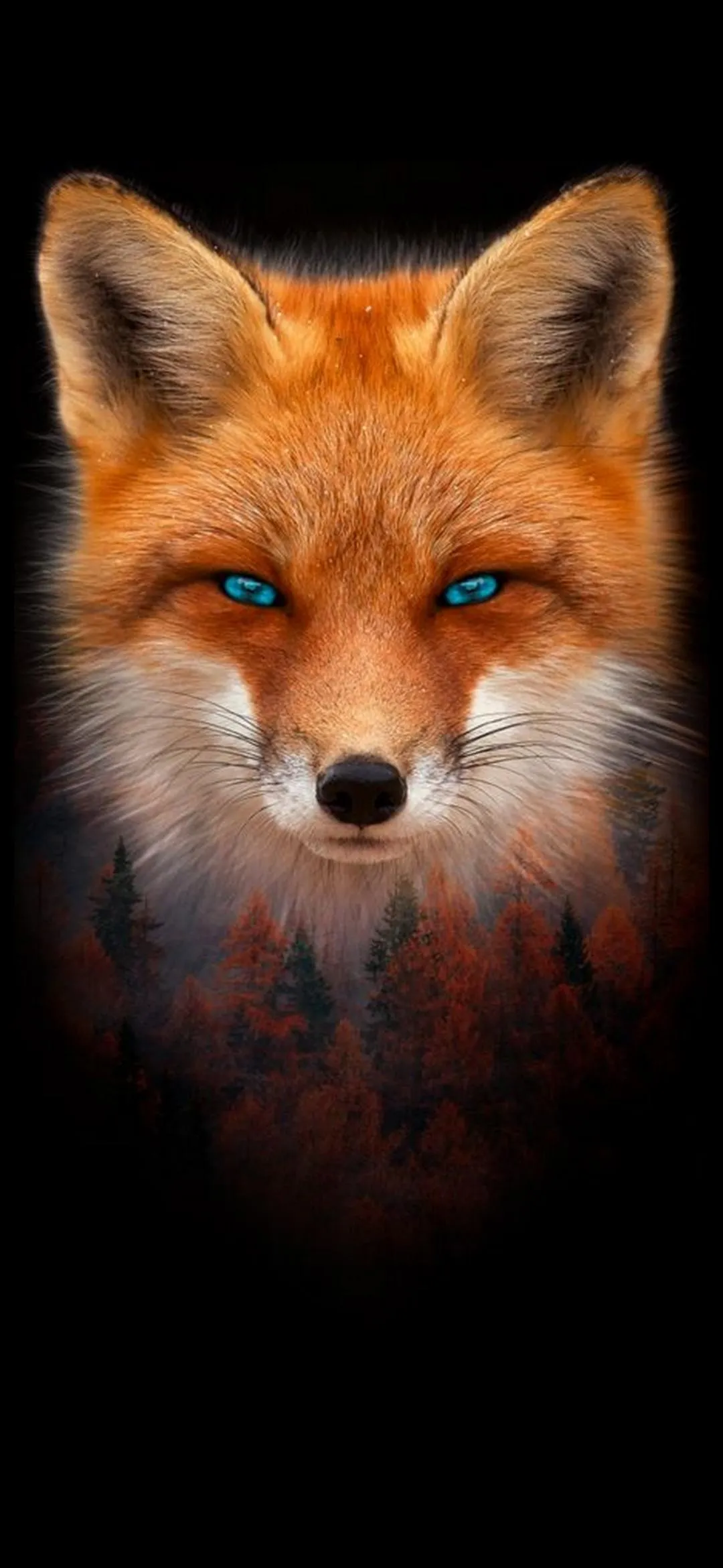 Gentle Fox Portrait for Cozy Nature Inspired Screen