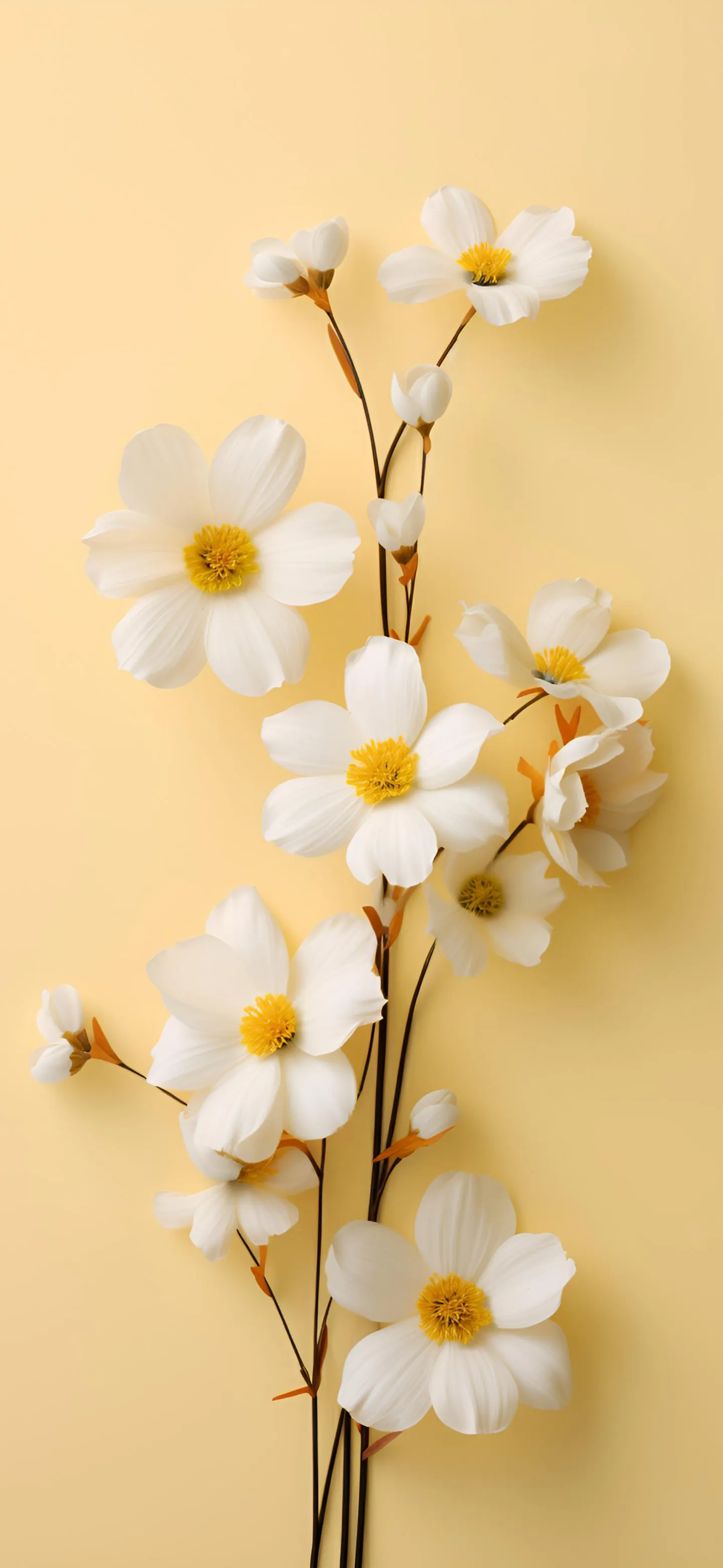 Gentle White Blossom Art for Fresh Nature Wallpaper