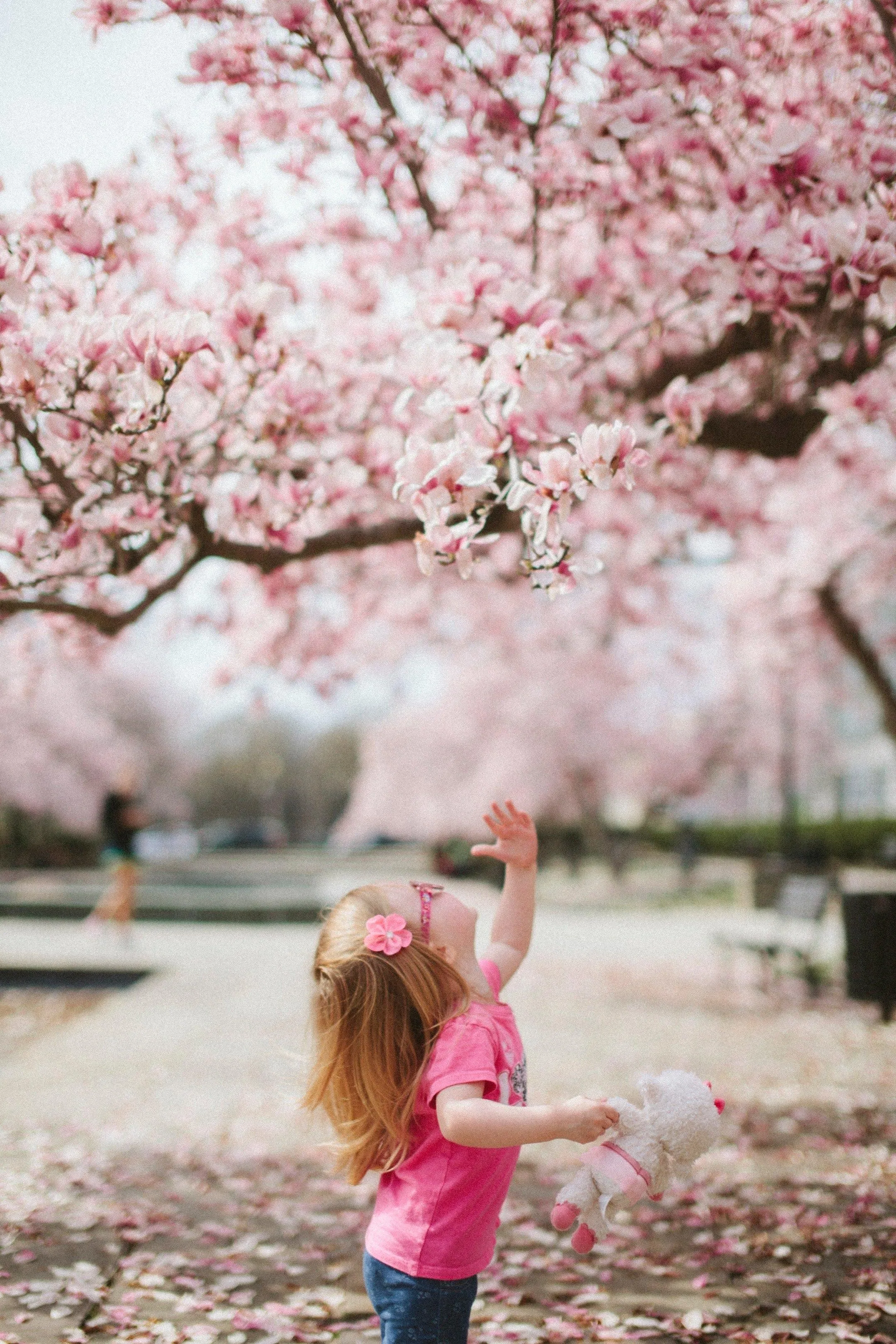 Girl in Pink Dress Under Blossoming Cherry Tree Image