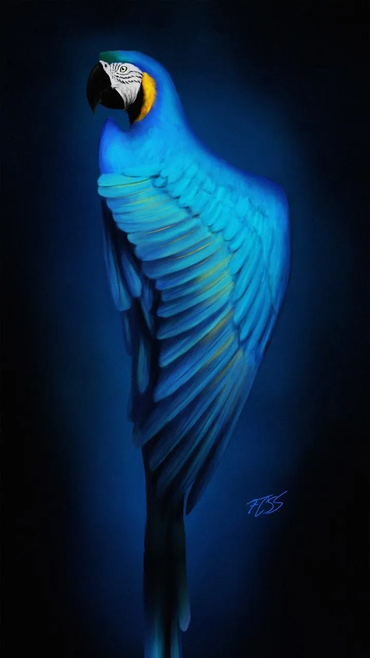 Glowing Blue Parrot Beautiful Mobile Wallpaper for Phones