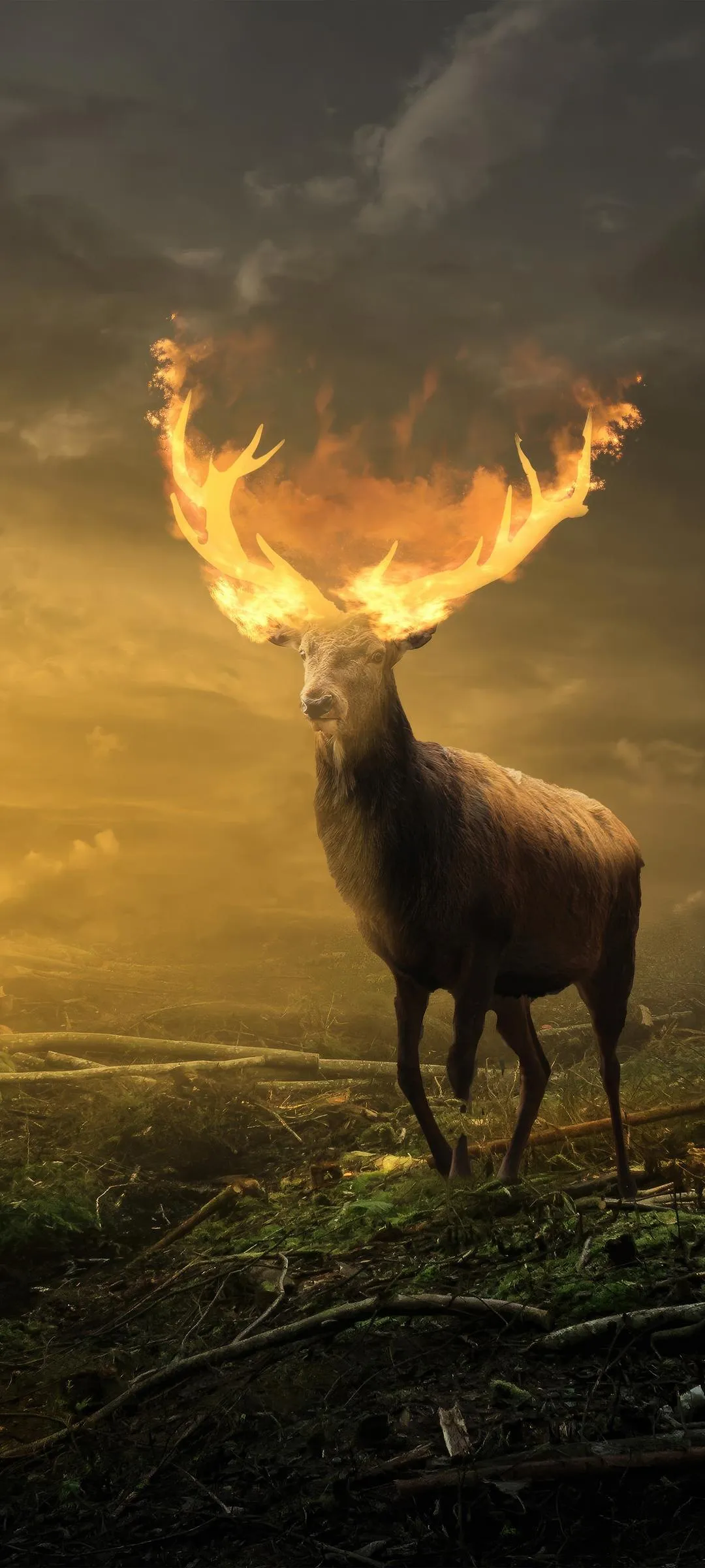 Glowing Deer in Mystical Yellow Sunset Forest Wallpaper