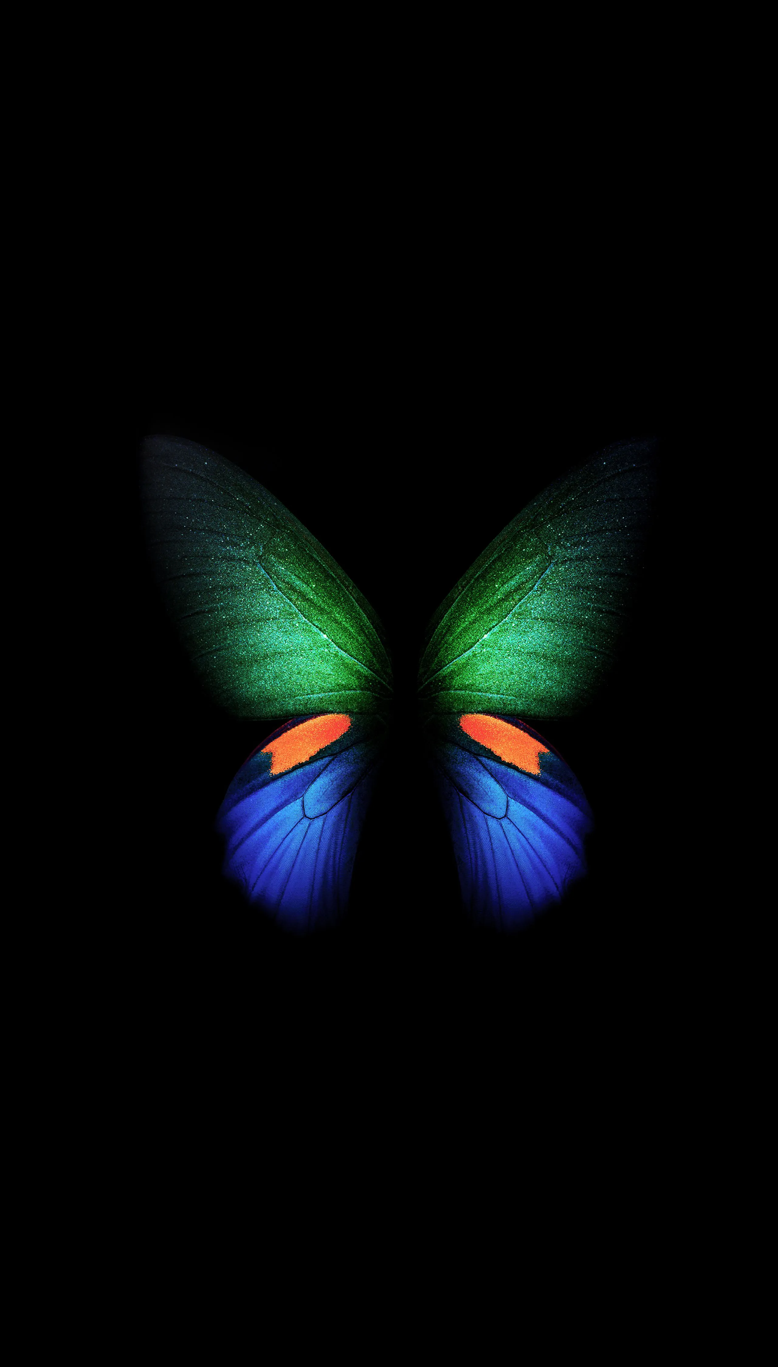 Glowing Green and Blue Butterfly on Black Background HD