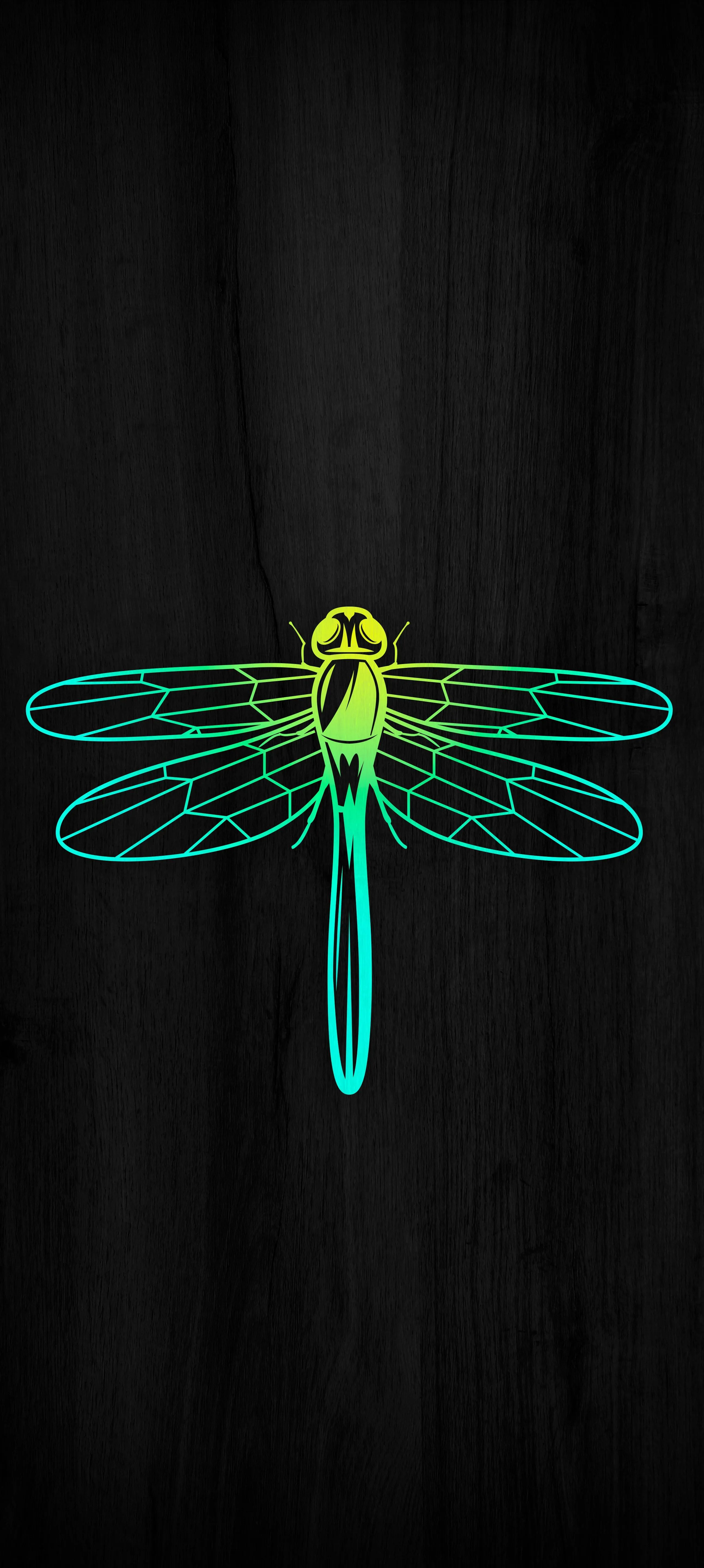 Glowing Neon Dragonfly Hovering Over Dark Background