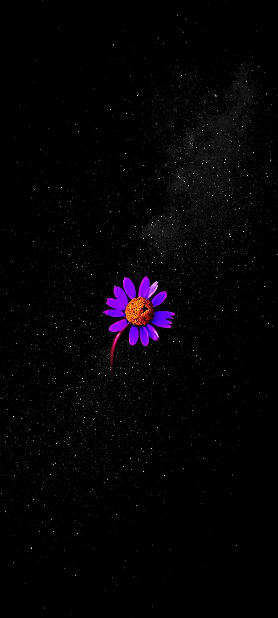 Glowing Purple Flower in Black Background Art Wallpaper
