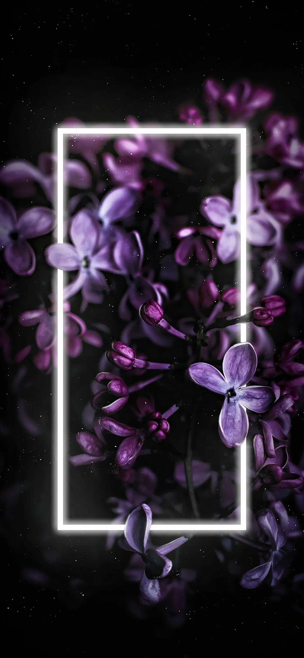 Glowing Purple Fractal Art in Digital Frame Style Wallpaper