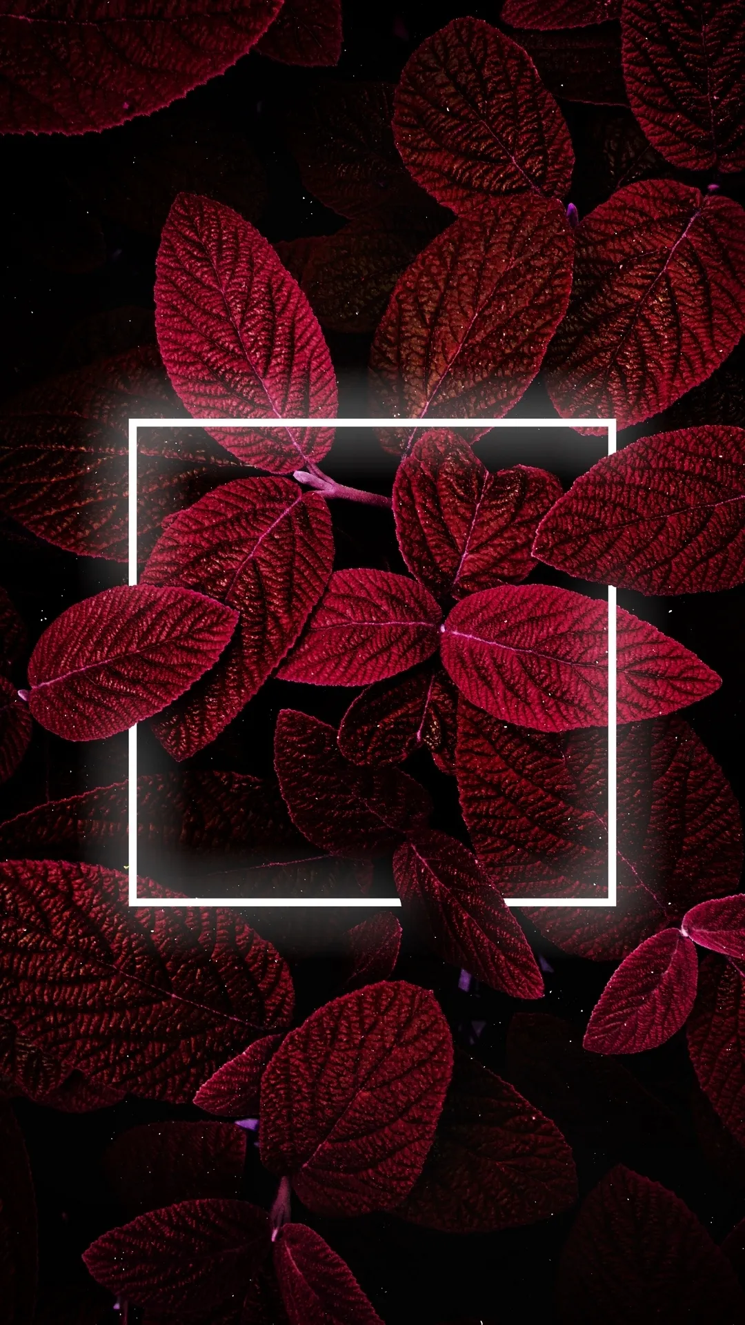 Glowing Red Pattern on Black Background with Depth Wallpaper