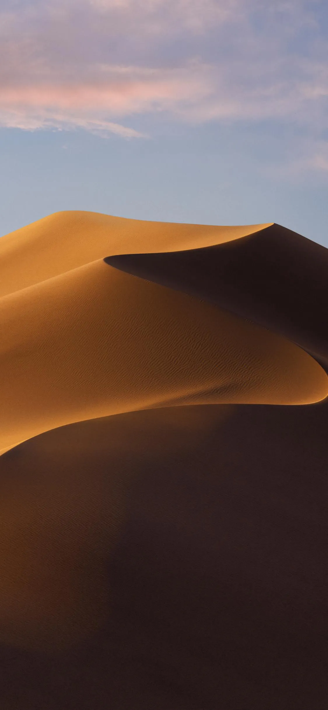 Golden Desert Dunes Art for Warm Minimal Wallpaper