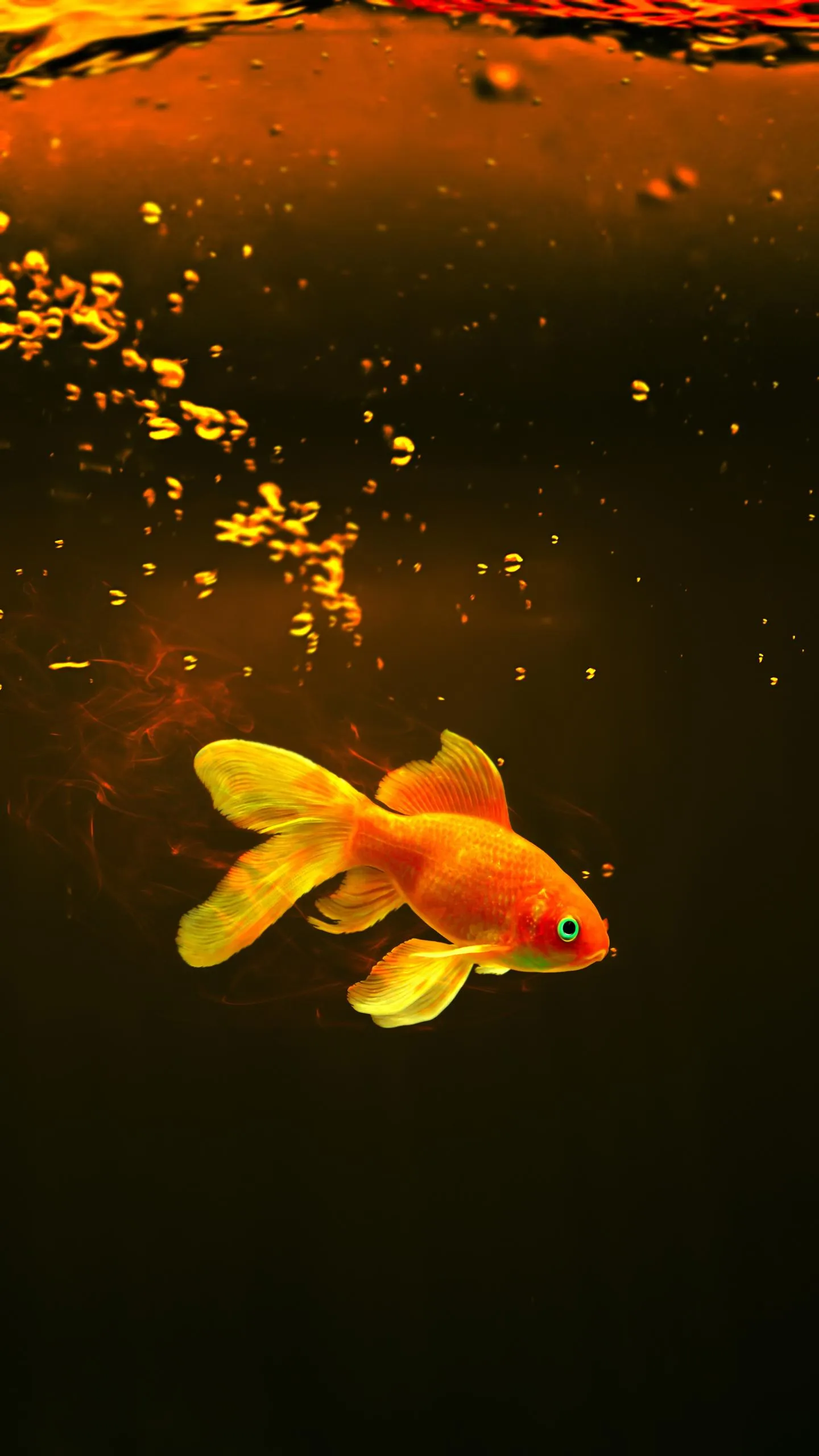 Golden Fish Swimming in Deep Water with Bubbles Wallpaper