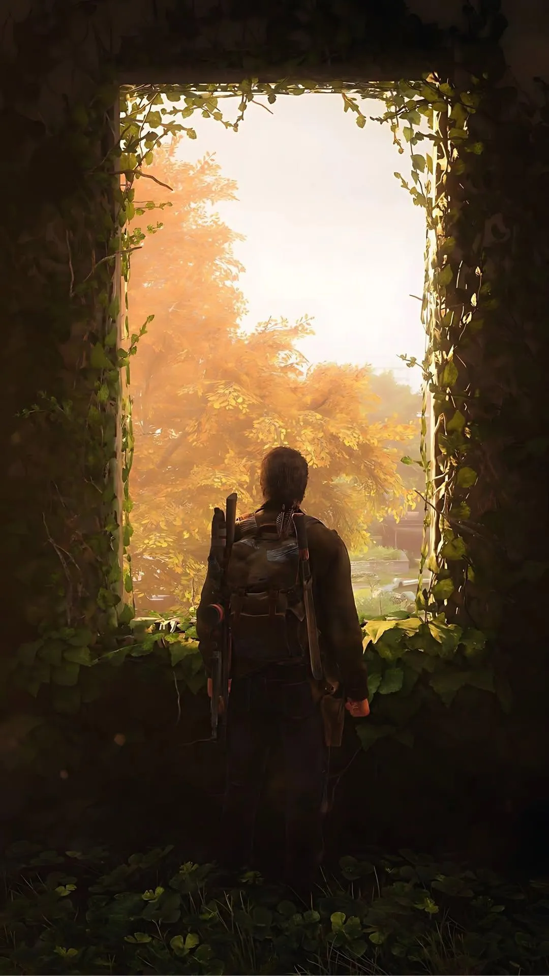 Golden Forest Pathway with Sunlight Through Trees Wallpaper