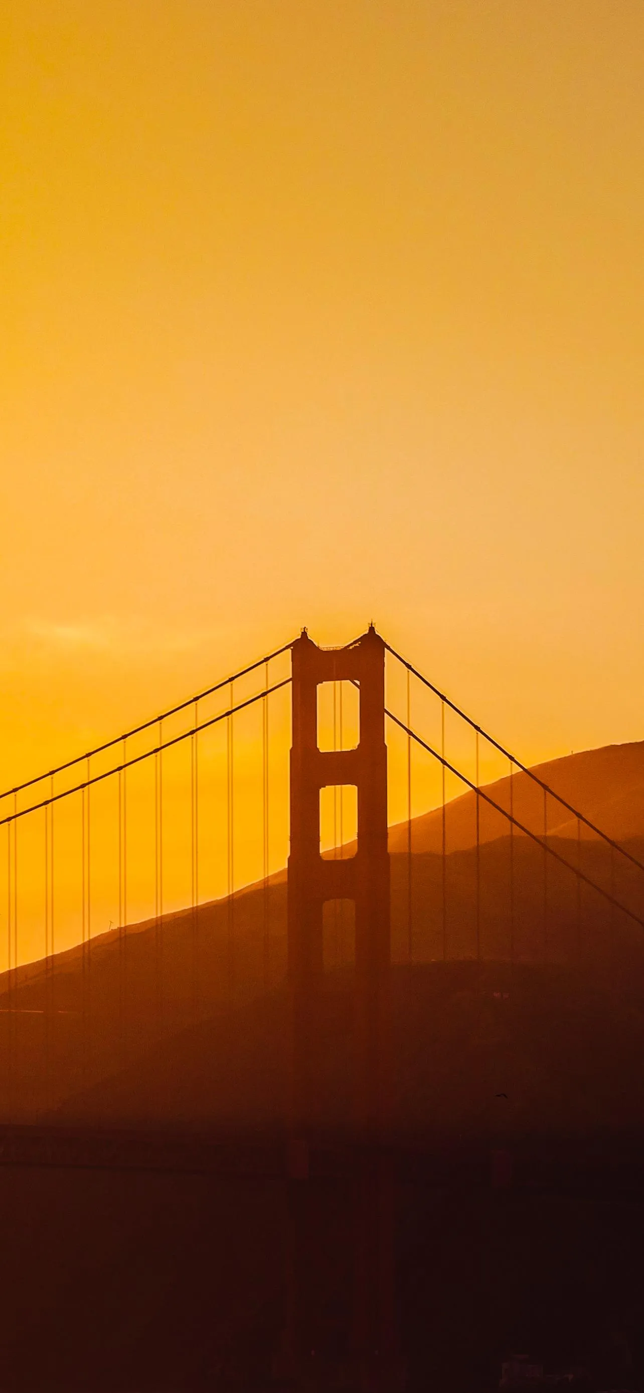 Golden Gate Bridge under Orange Sunset Light Wallpaper