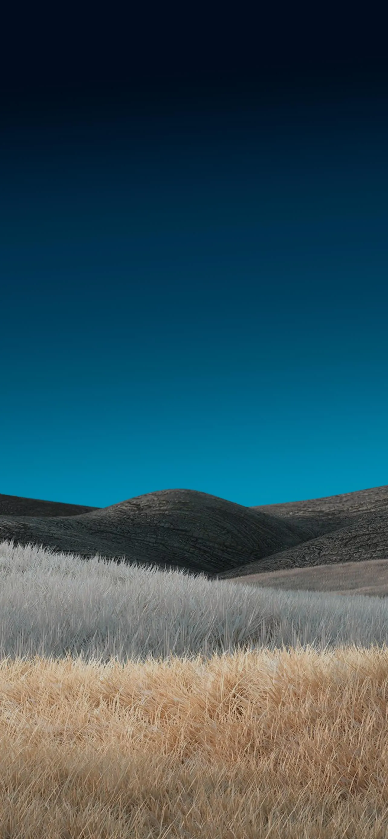 Golden Grass Field with Blue Sky and Mountains Wallpaper