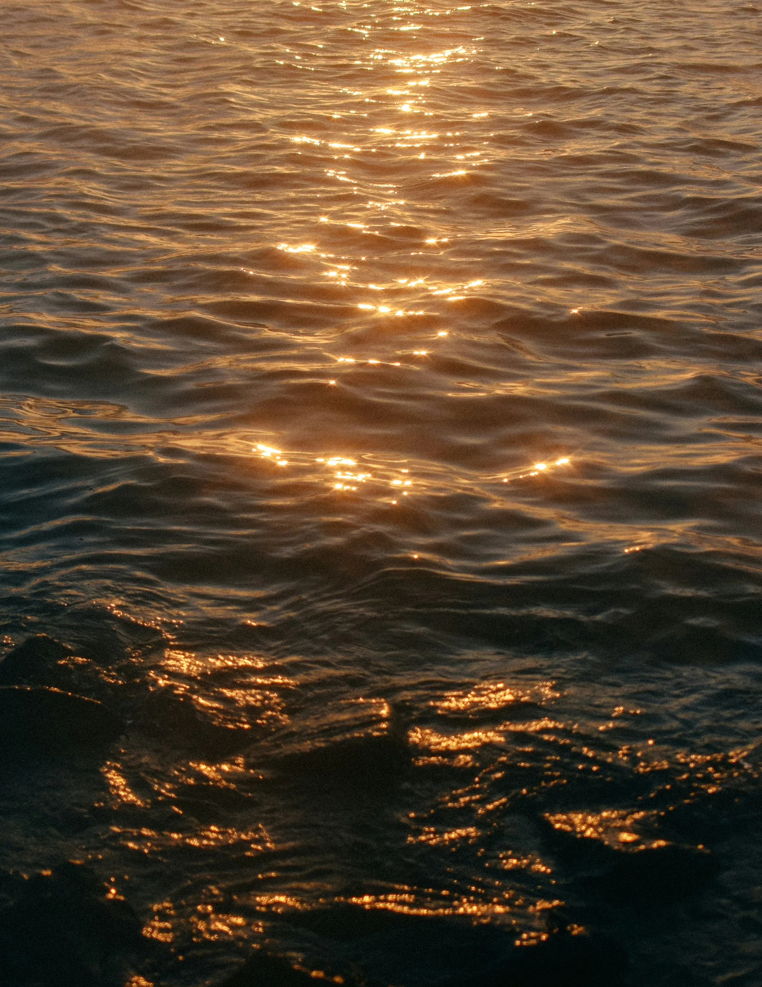 Golden Light Reflected on Calm Ocean Water View Photography