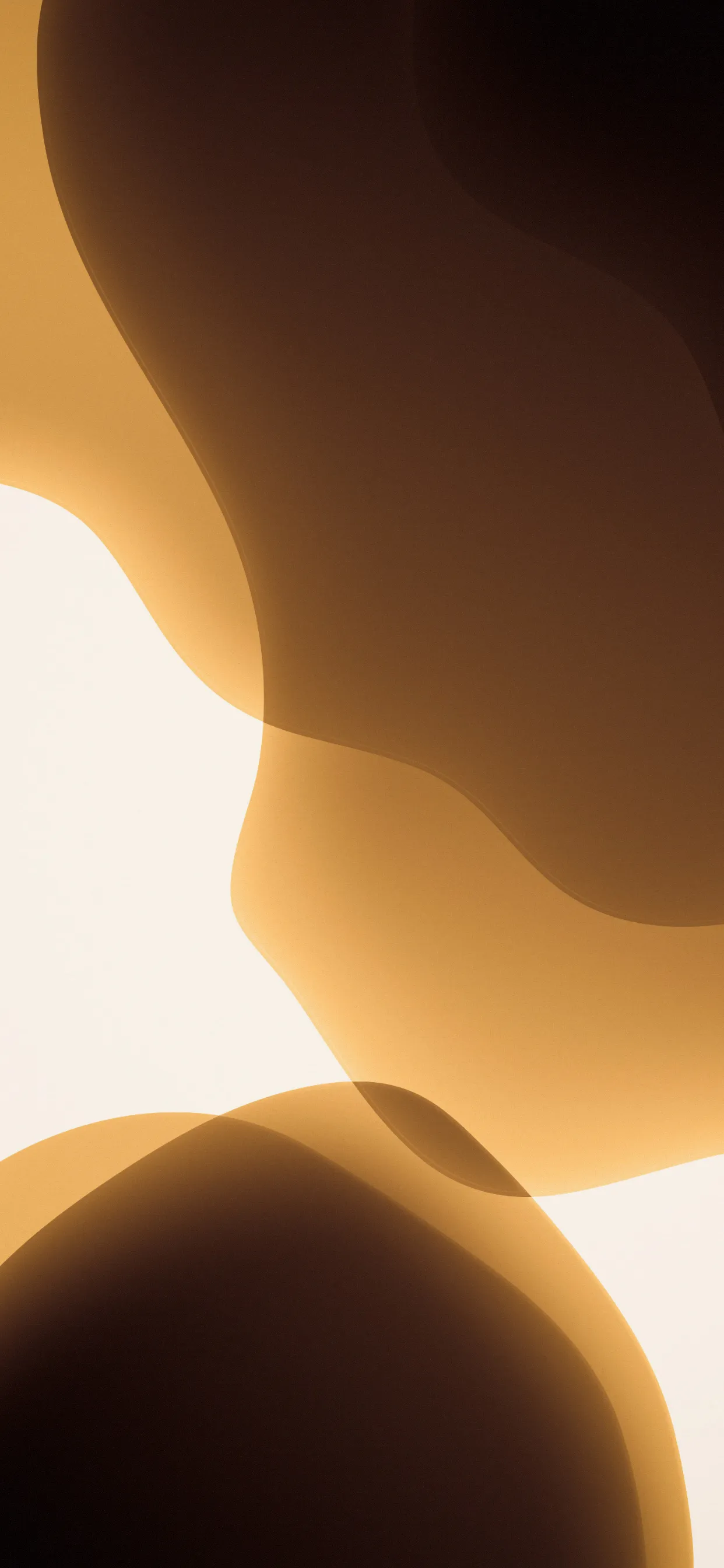 Golden Light Silhouette Inspiring Oppo Mobile Wallpaper