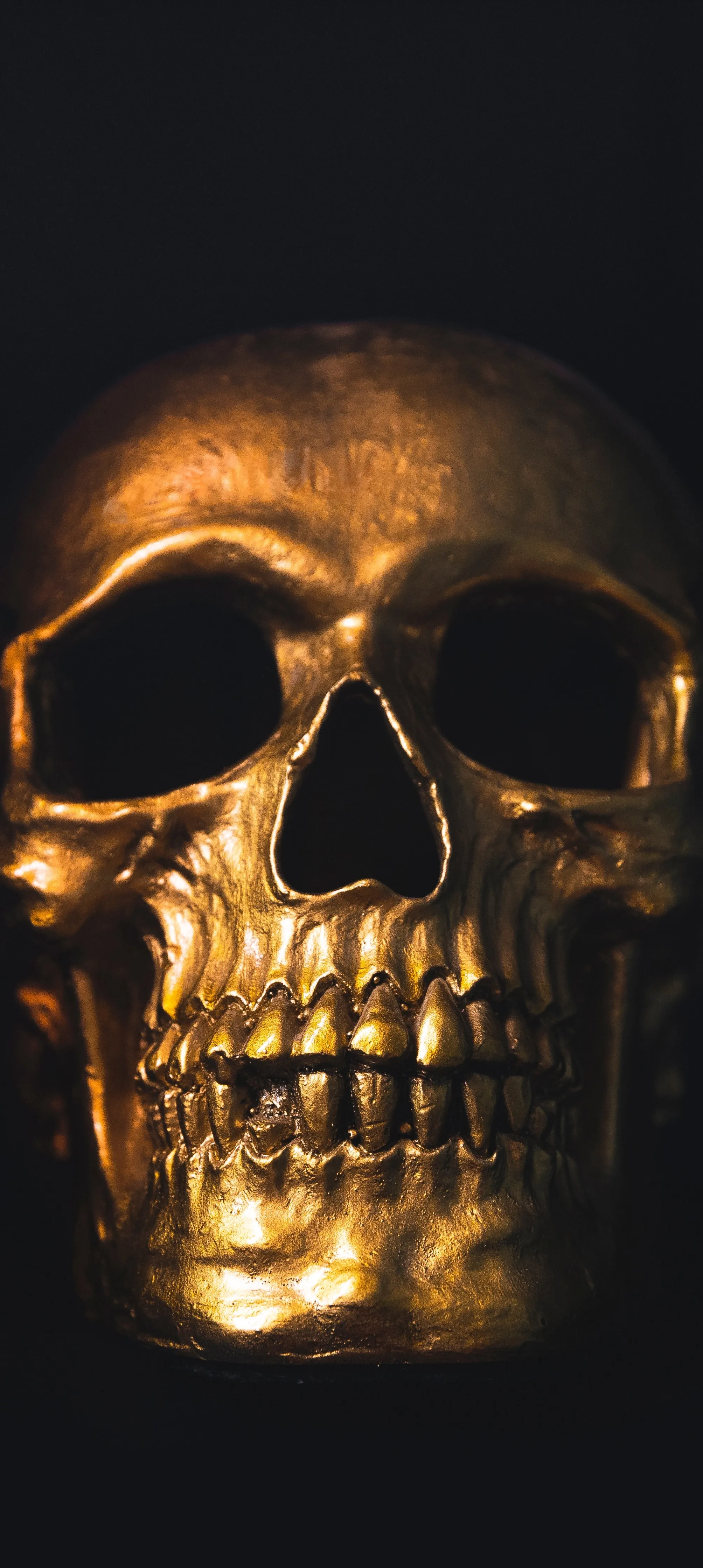Golden Skull with Dark Shadows and Metallic Reflection
