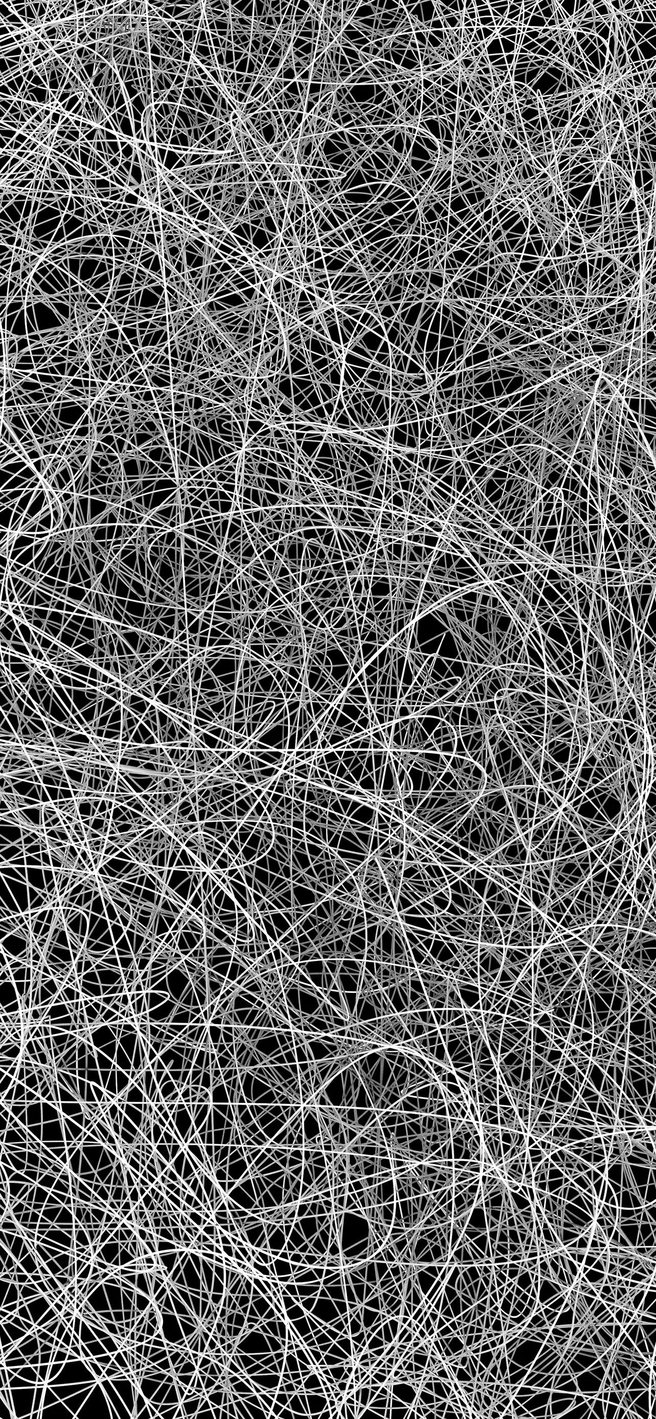 Grayscale Abstract Lines and Geometric Mesh Pattern