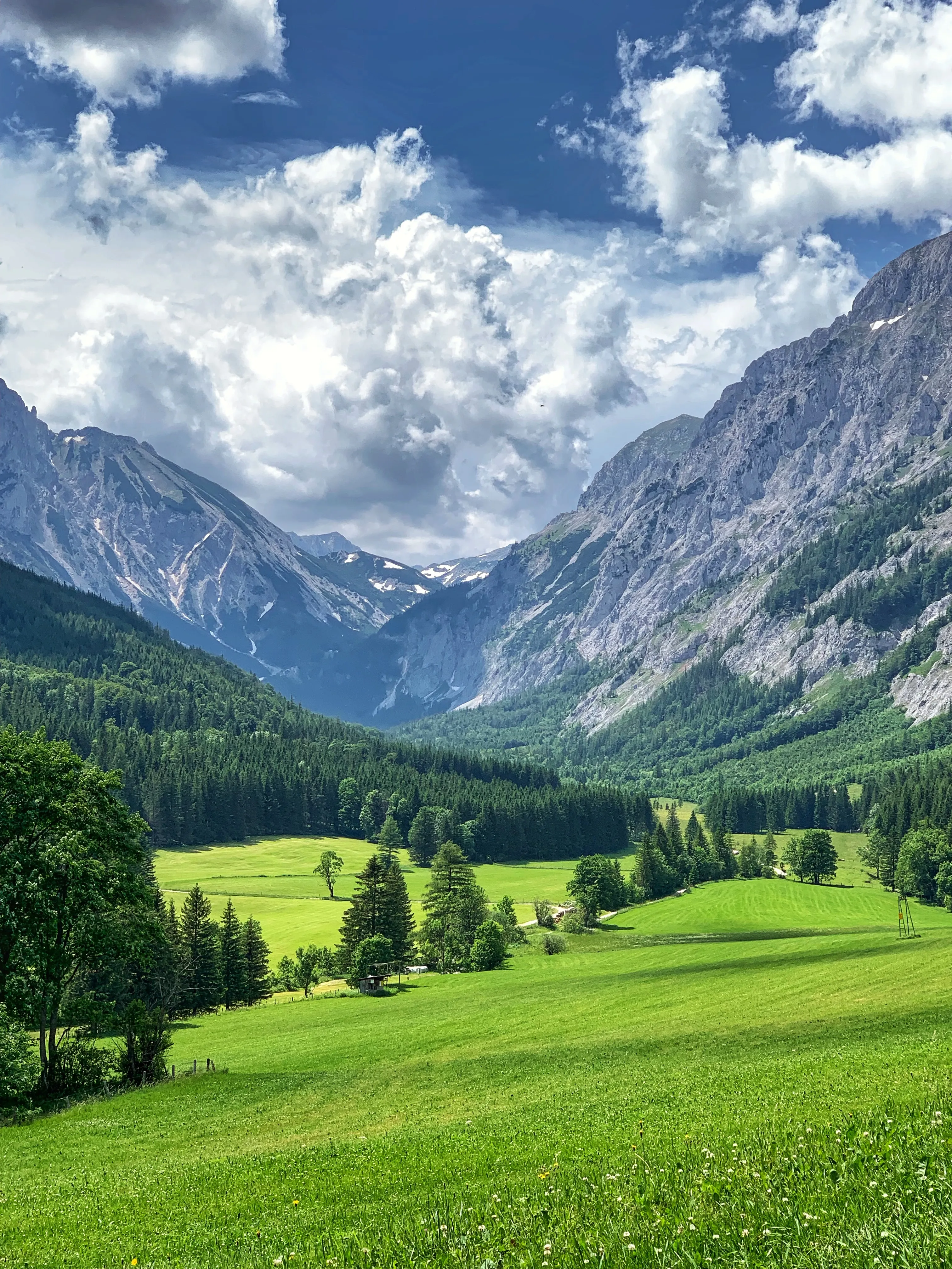 Green Mountain Valley Under Bright Blue Sky Wallpaper