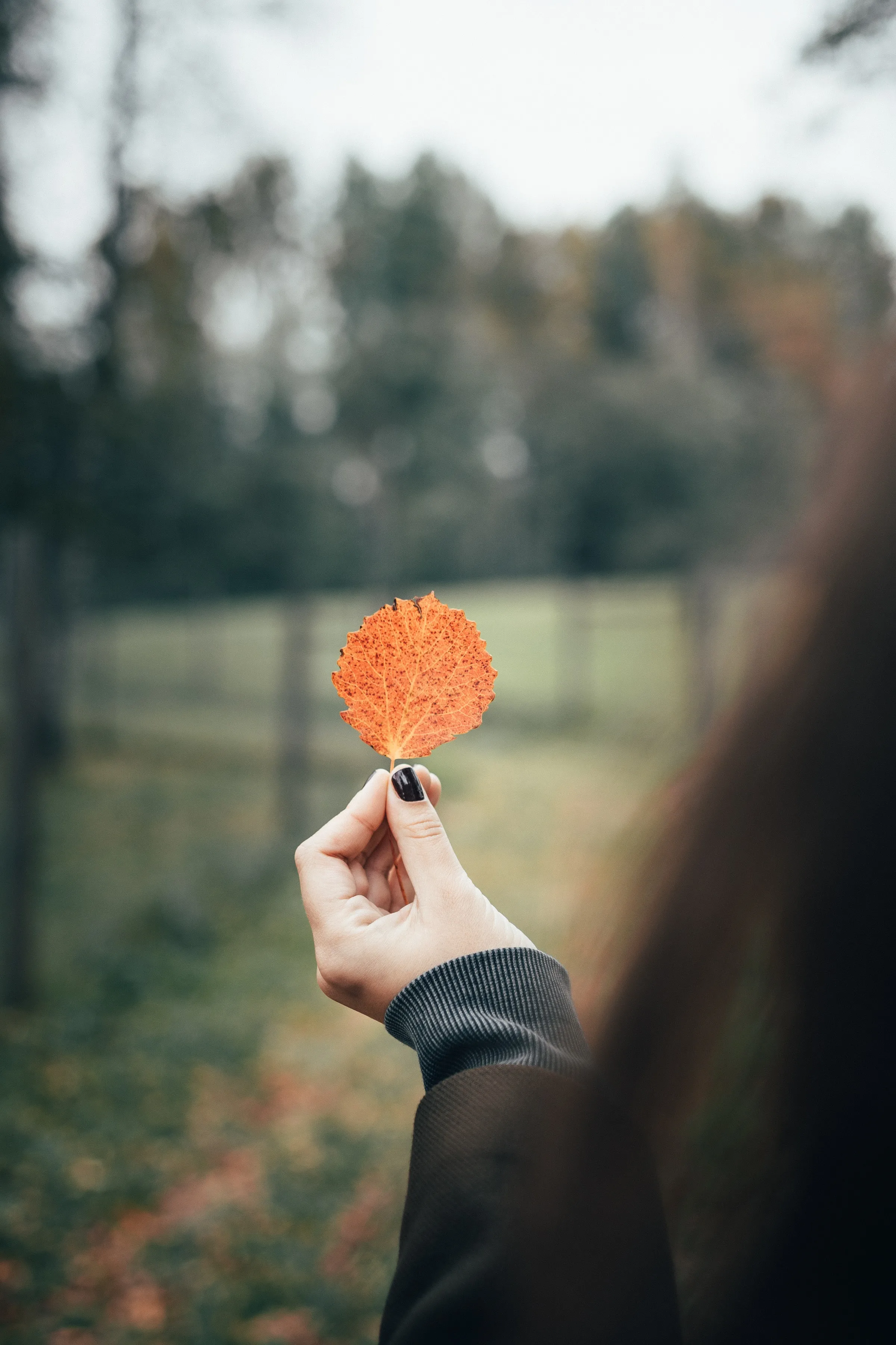 Hand Holding Orange Leaf in Blurred Autumn Scene Wallpaper
