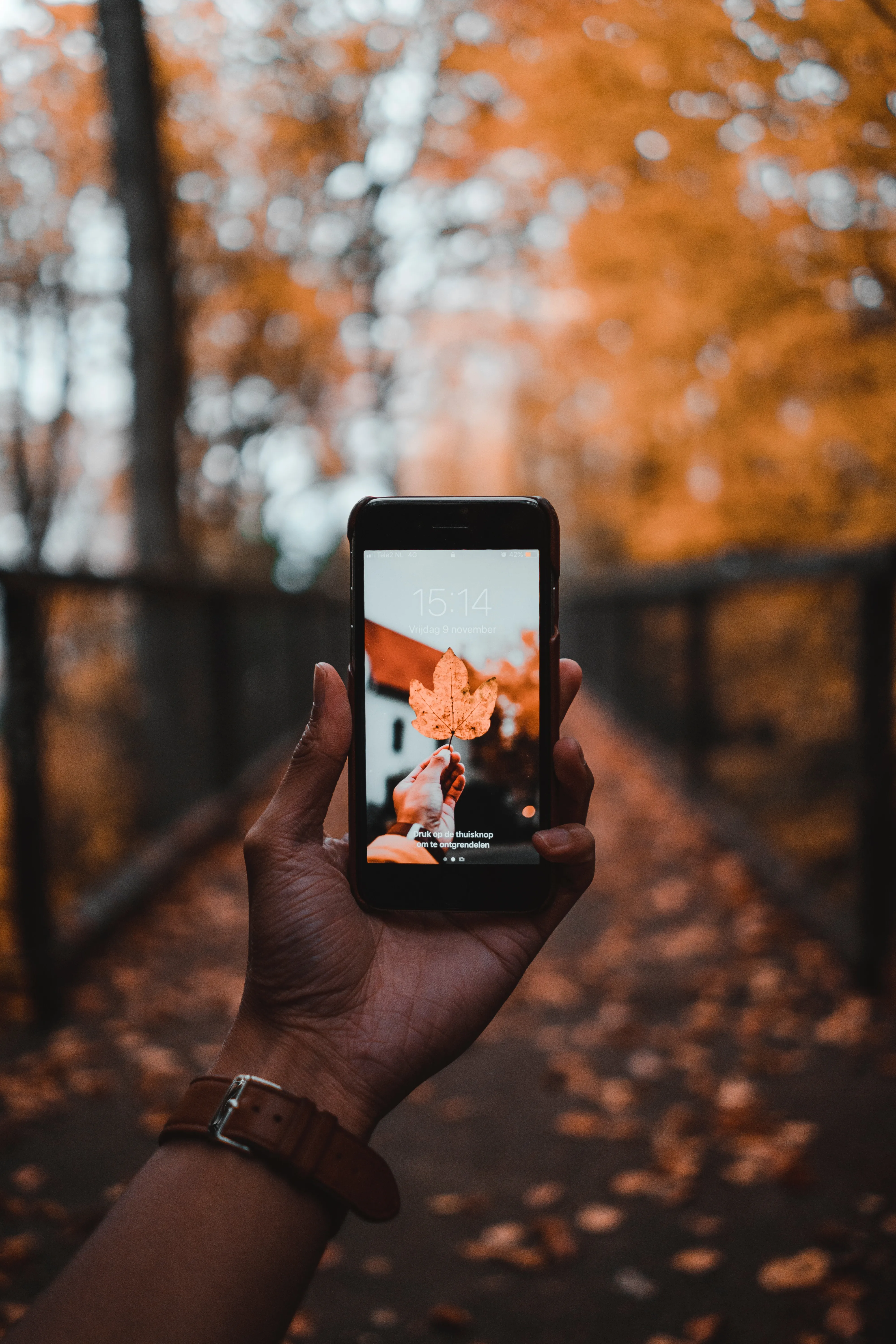 Hand Holding Phone in Warm Autumn Street Light Wallpaper