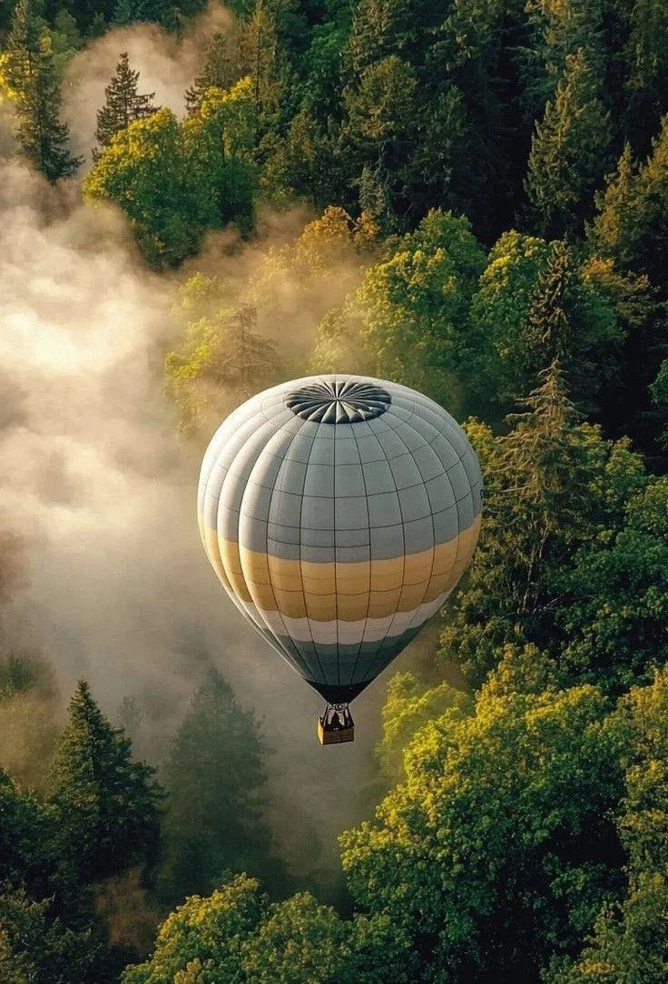 Hot Air Balloon Floating Over Forest Landscape Wallpaper