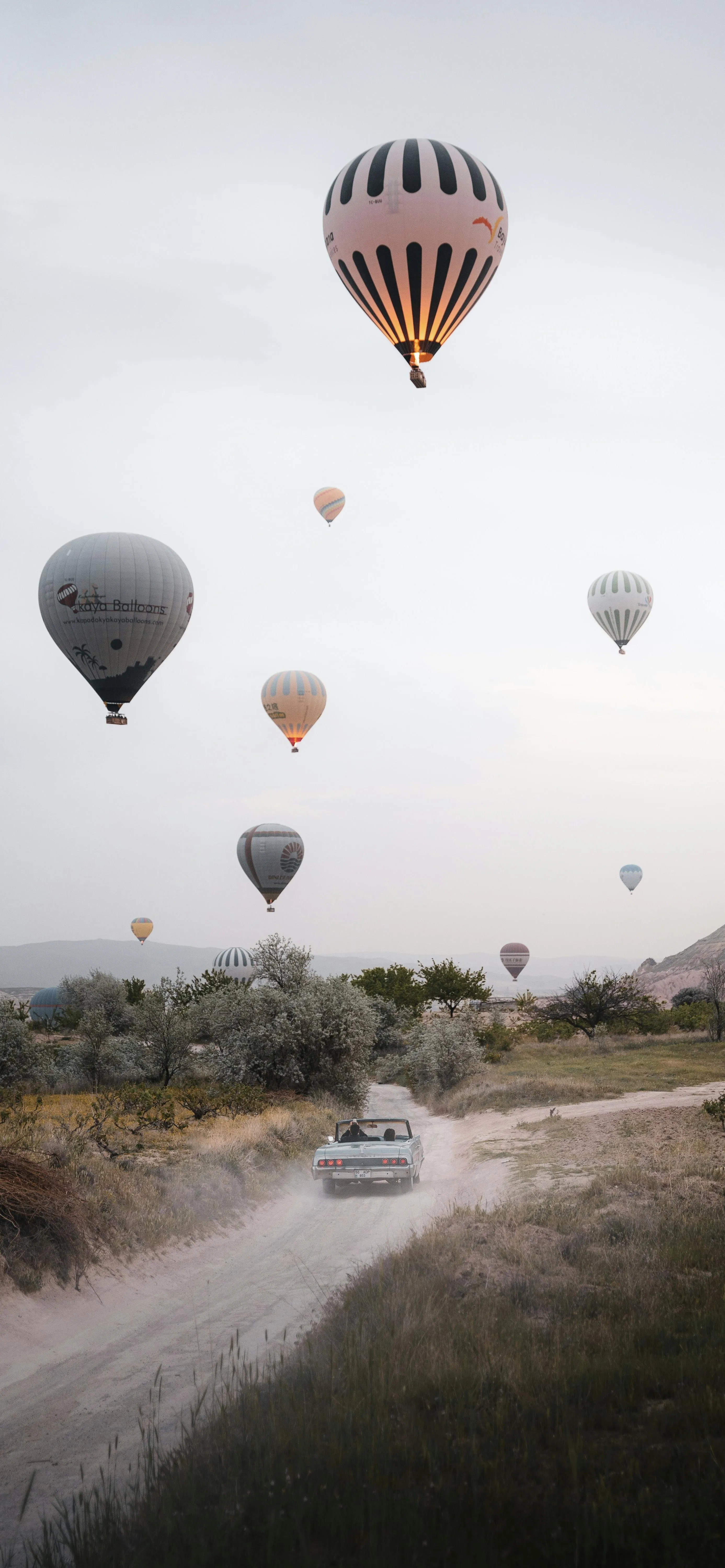 Hot Air Balloons Flying Over Countryside Road in Early Morning
