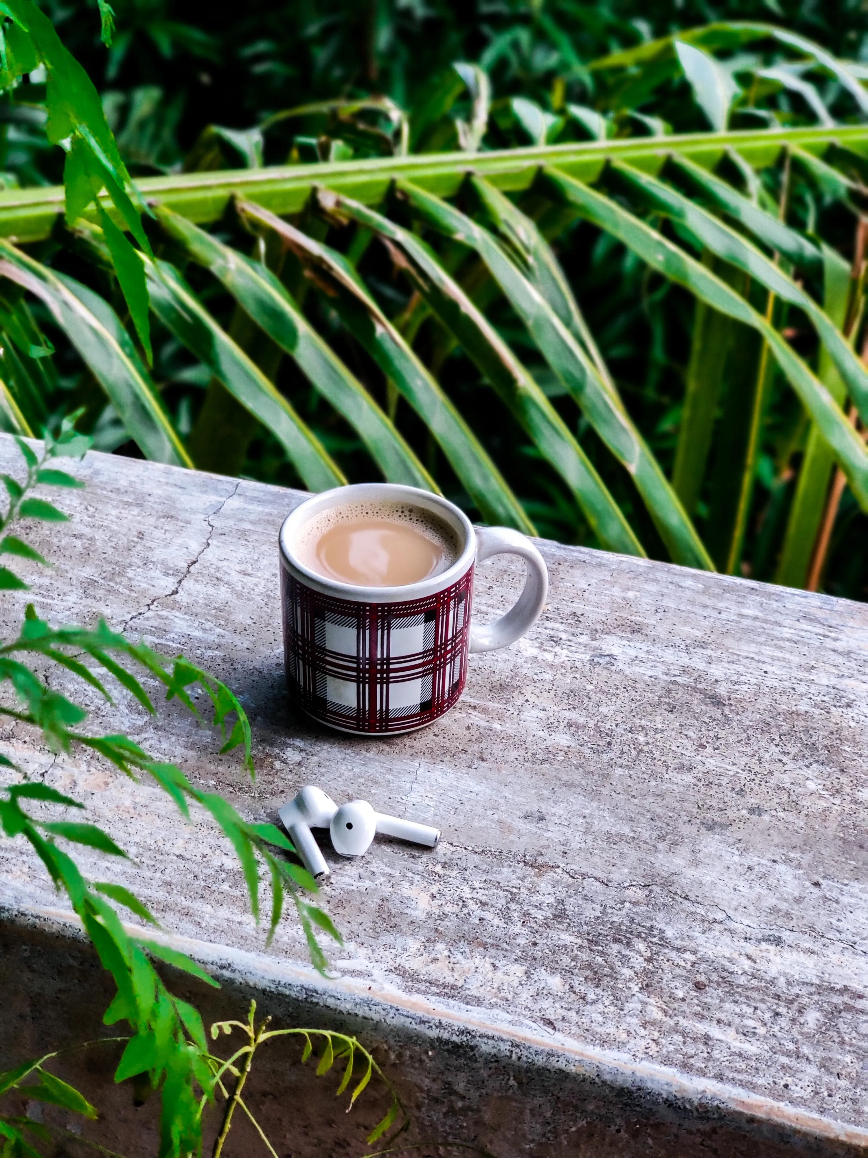 Hot Coffee in Cup Placed on Wooden Table Among Green Plants