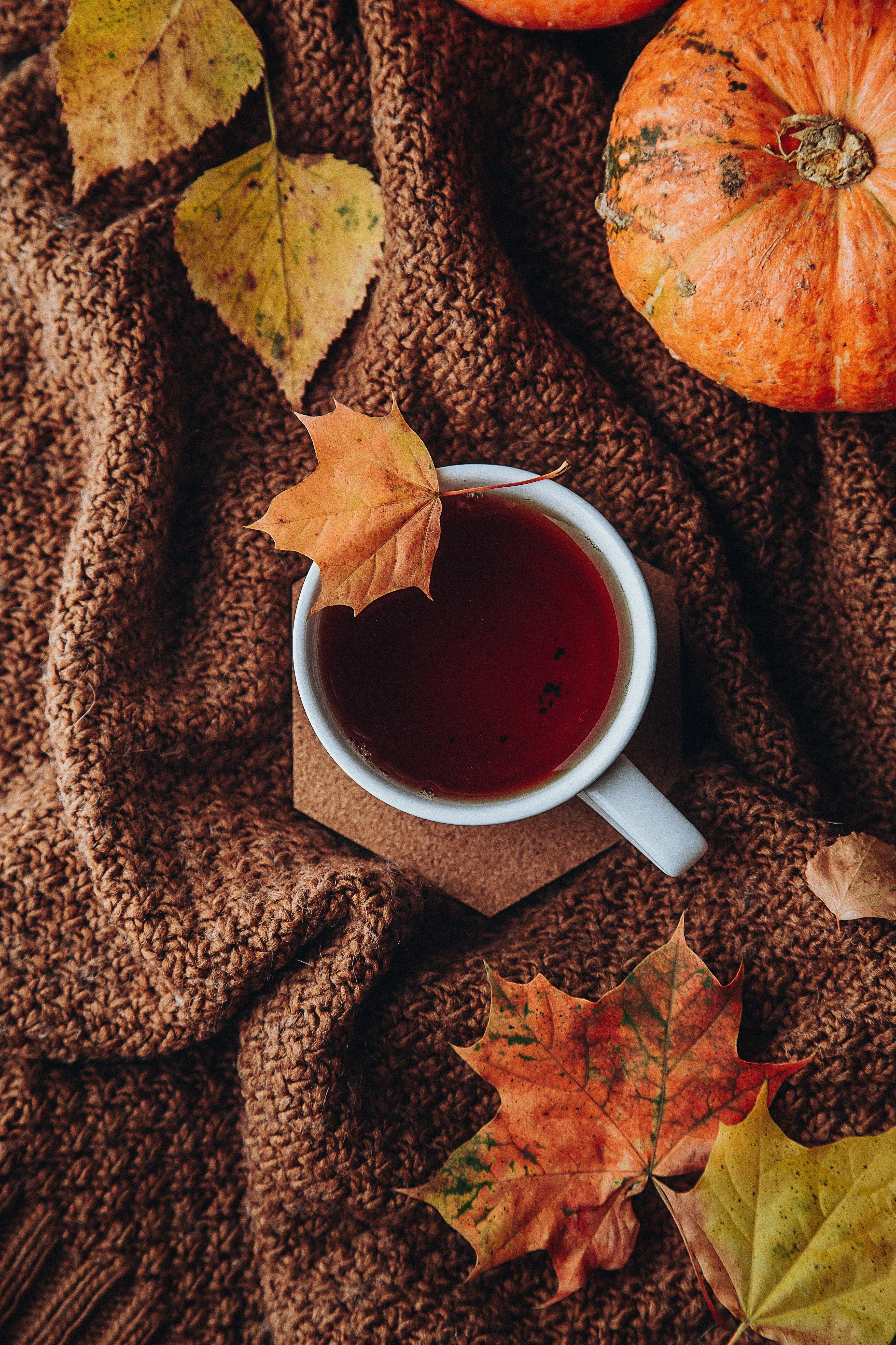 Hot Coffee Mug with Pumpkins and Autumn Decor Wallpaper