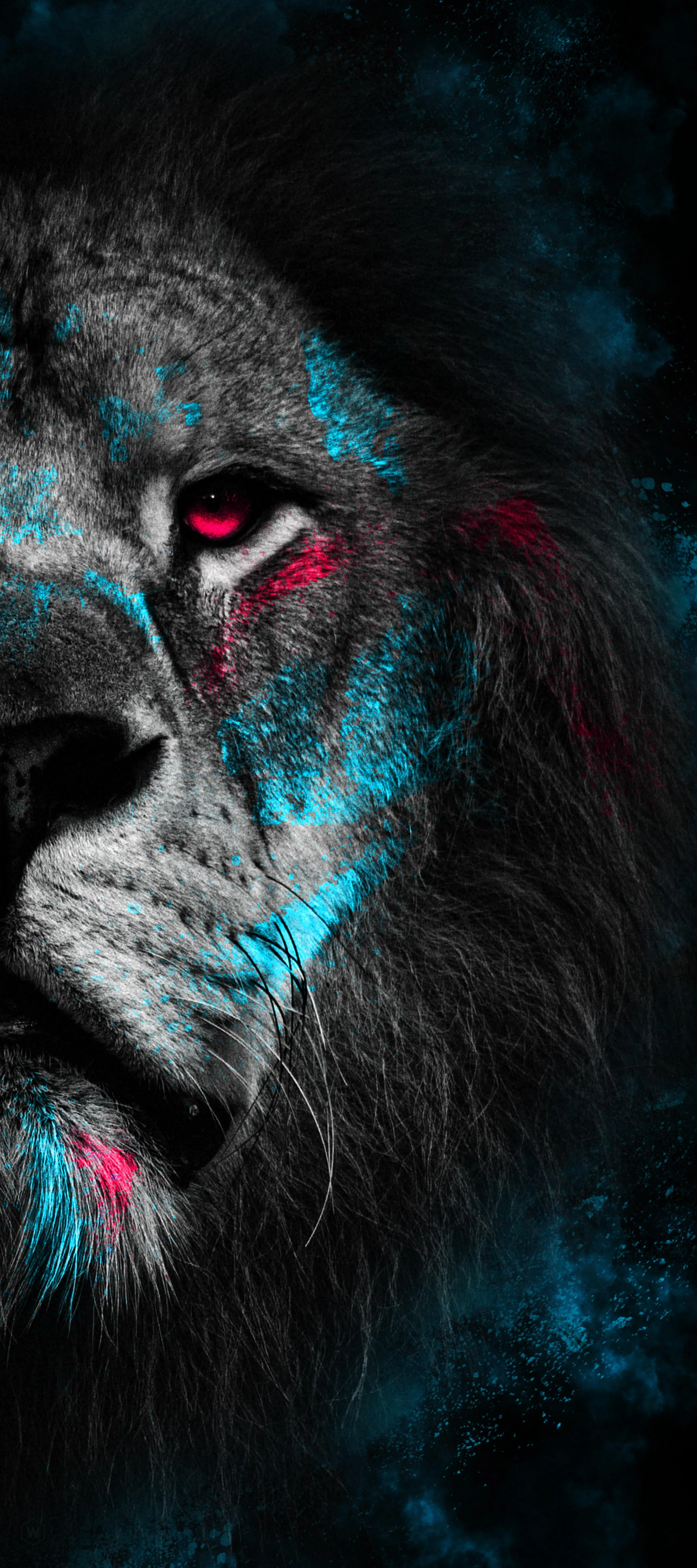 Intense Closeup of Lion Face with Red and Blue Face Paint