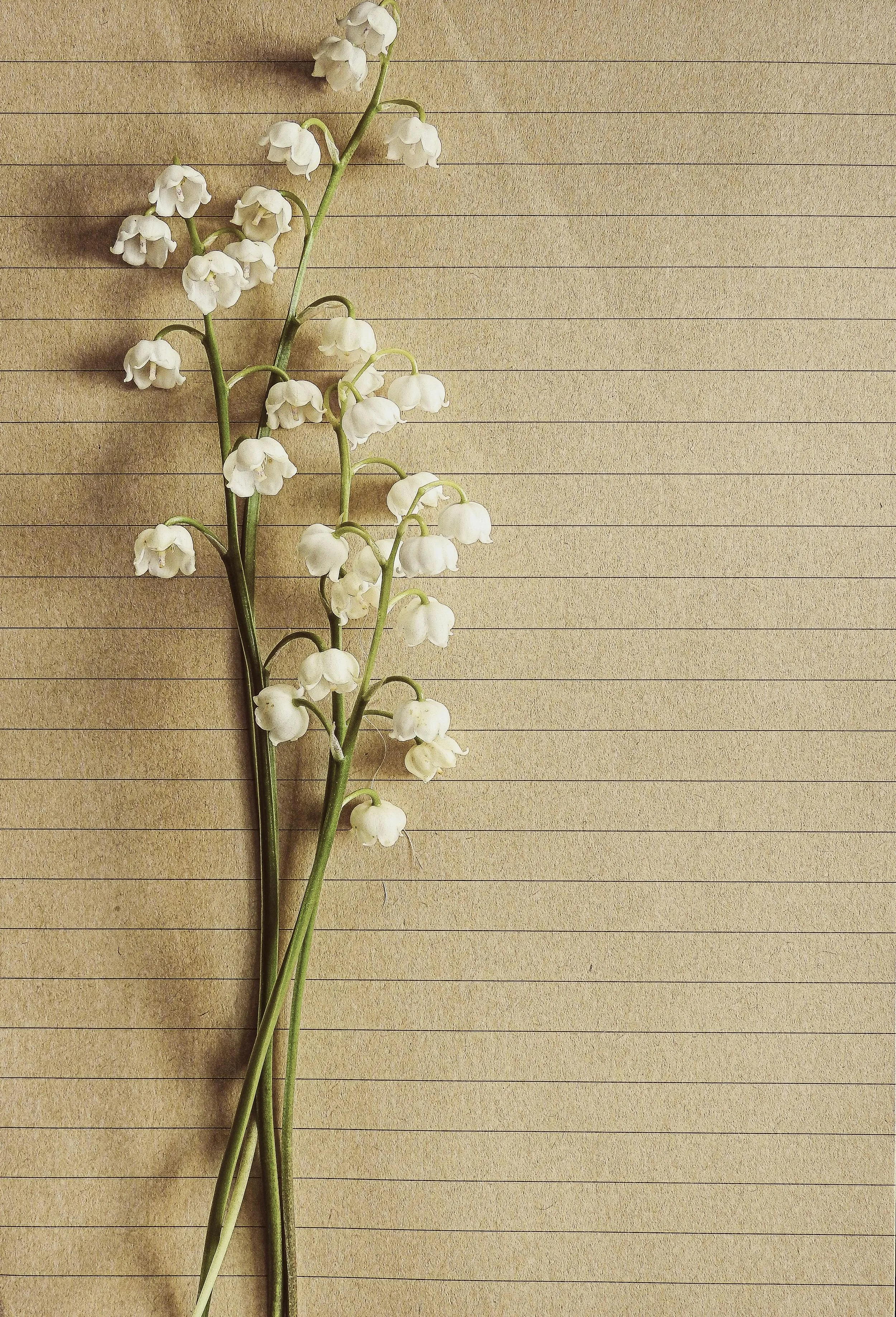 Lily of the Valley Flowers on Beige Fabric Wallpaper