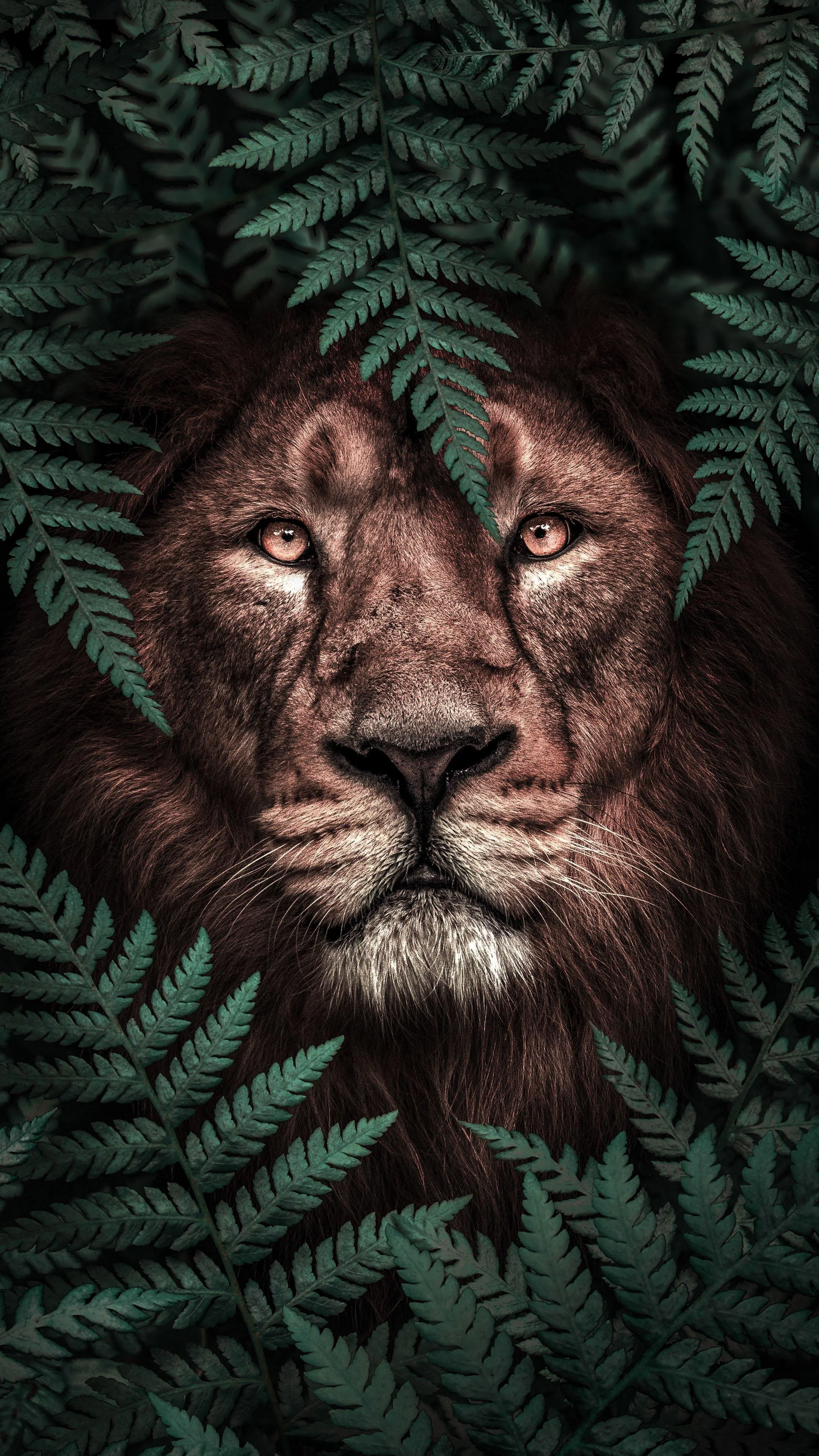 Lion Hidden in Leaves with Intense Glowing Eyes Wallpaper