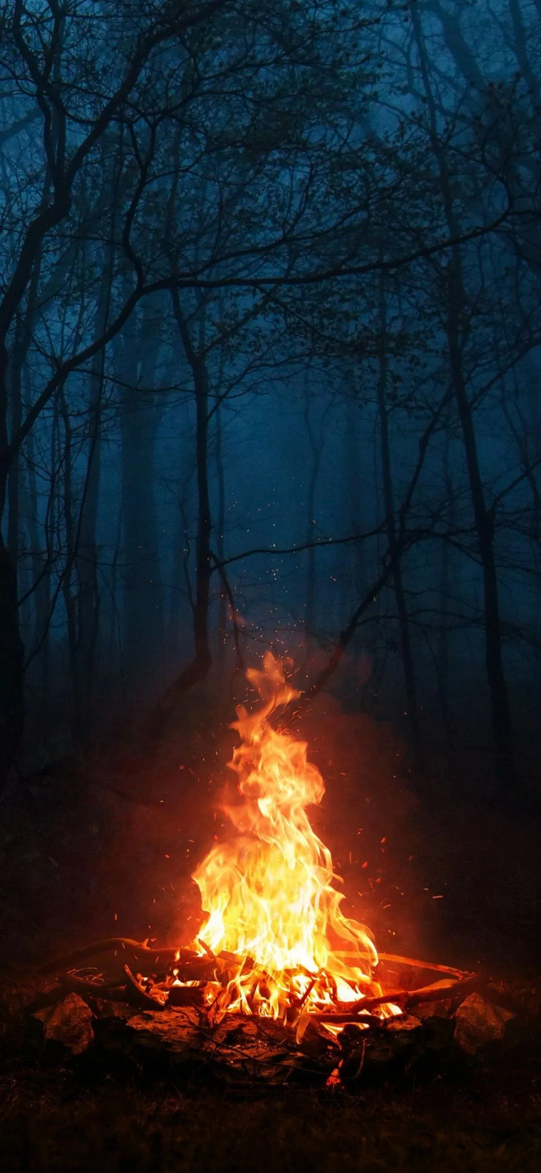 Lone Fire Burning Brightly Deep In Dark Forest Night