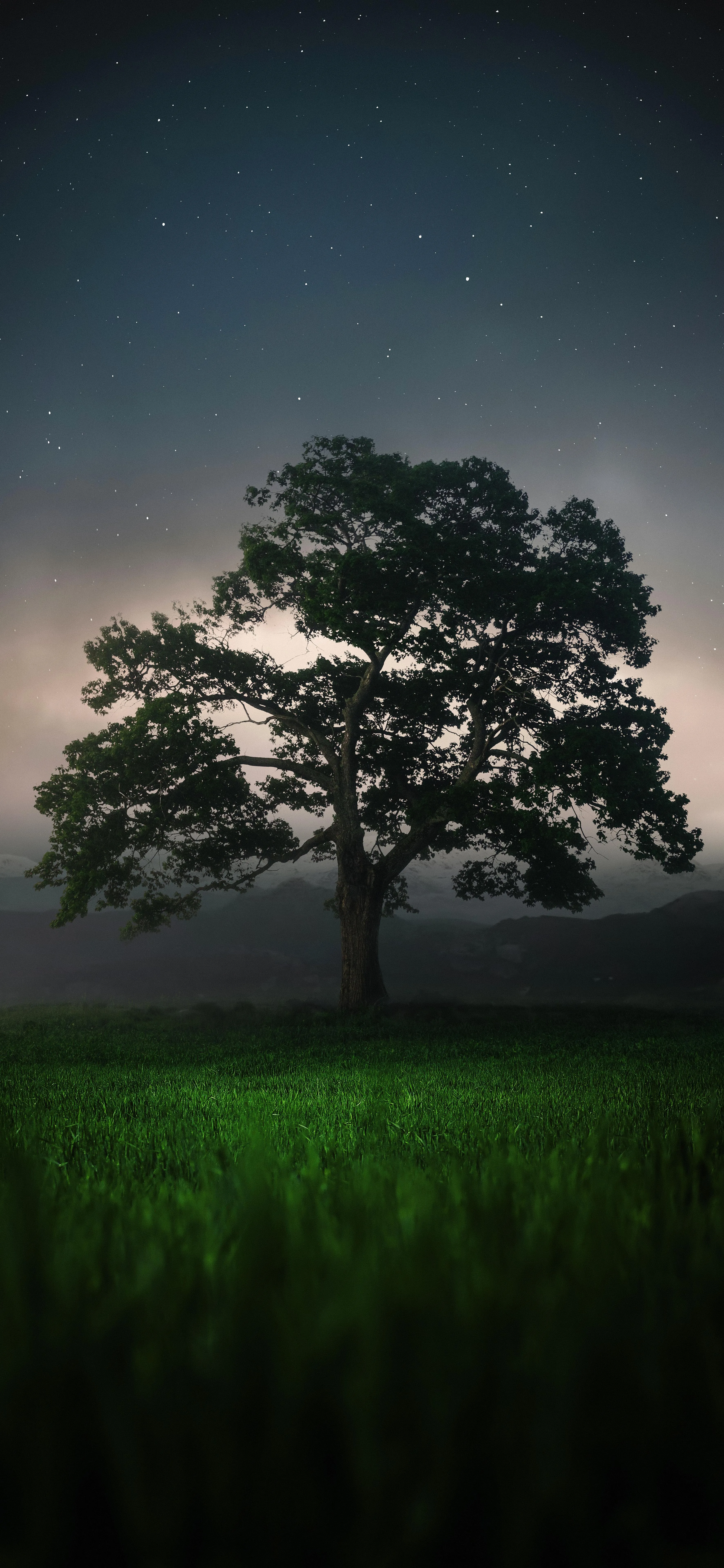 Lone Tree in a Foggy Green Field with Dim Light Sky
