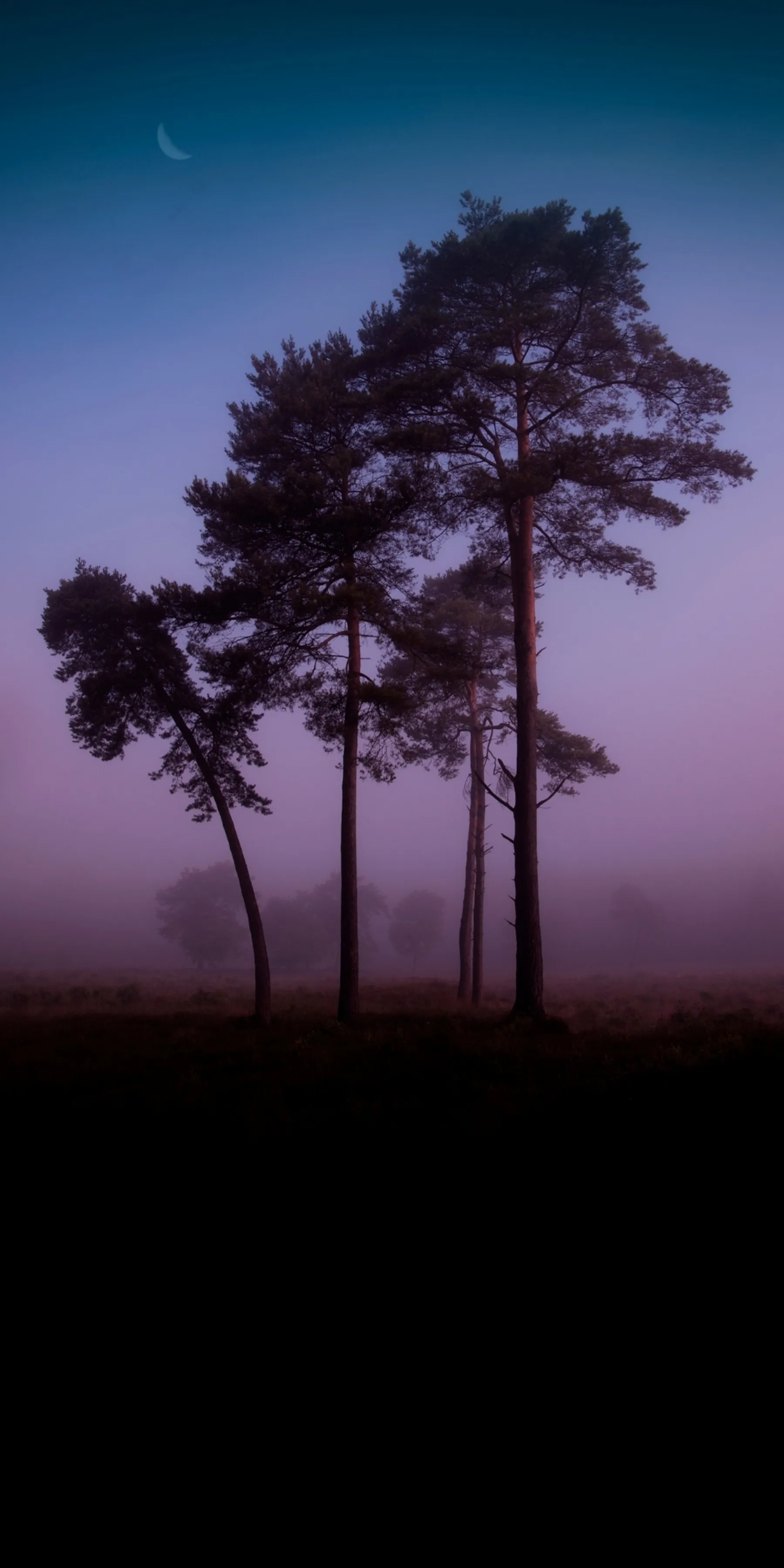 Lone Tree Silhouette Against Pink Twilight Wallpaper