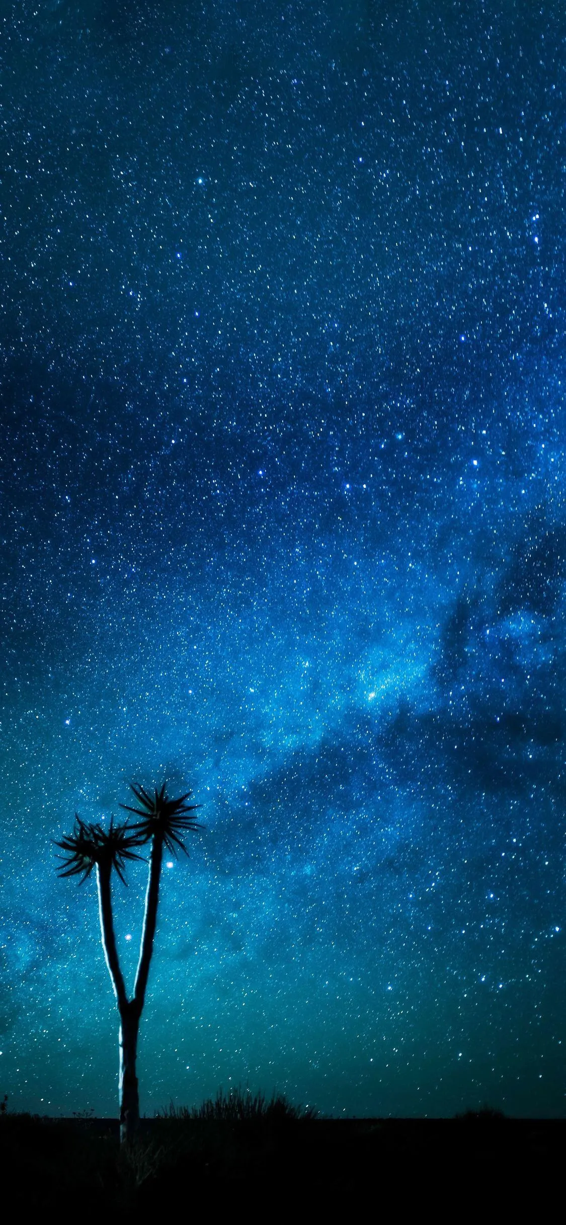 Lone Tree Under Starry Sky for Samsung S24 Ultra Wallpaper