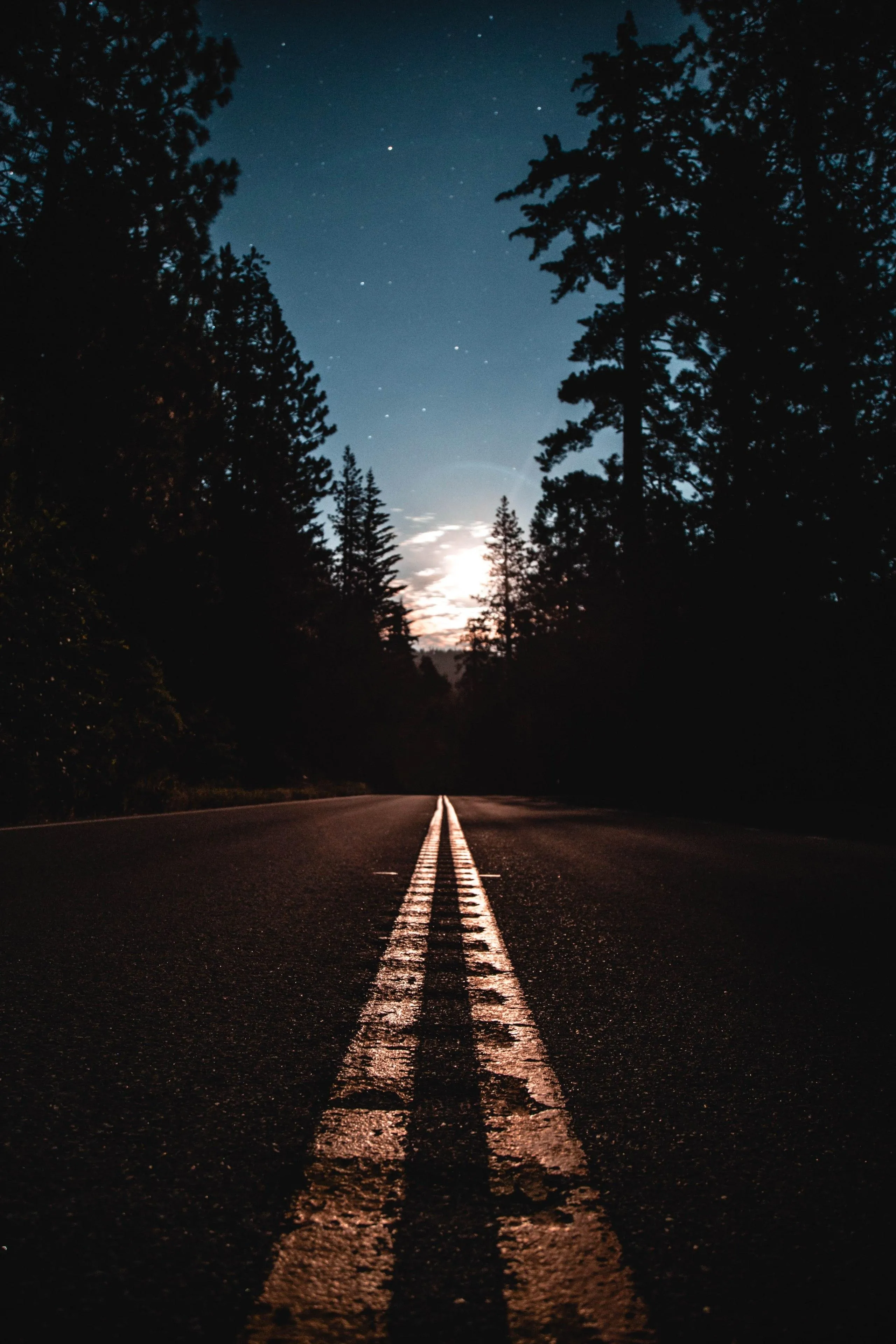 Lonely Road Leading Toward a Forest Under Soft Evening Light