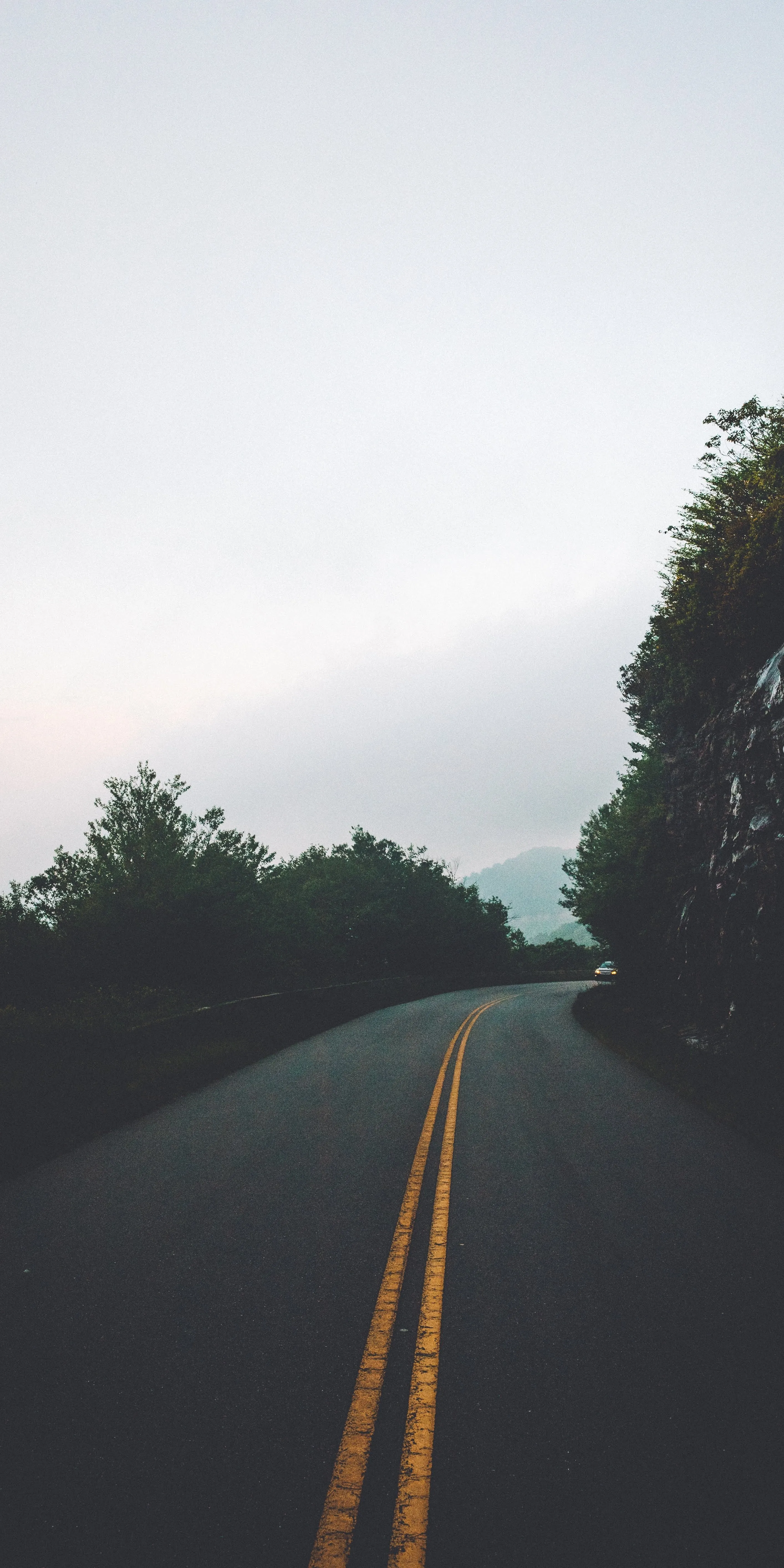 Lonely Road Surrounded by Trees on Cloudy Morning Wallpaper