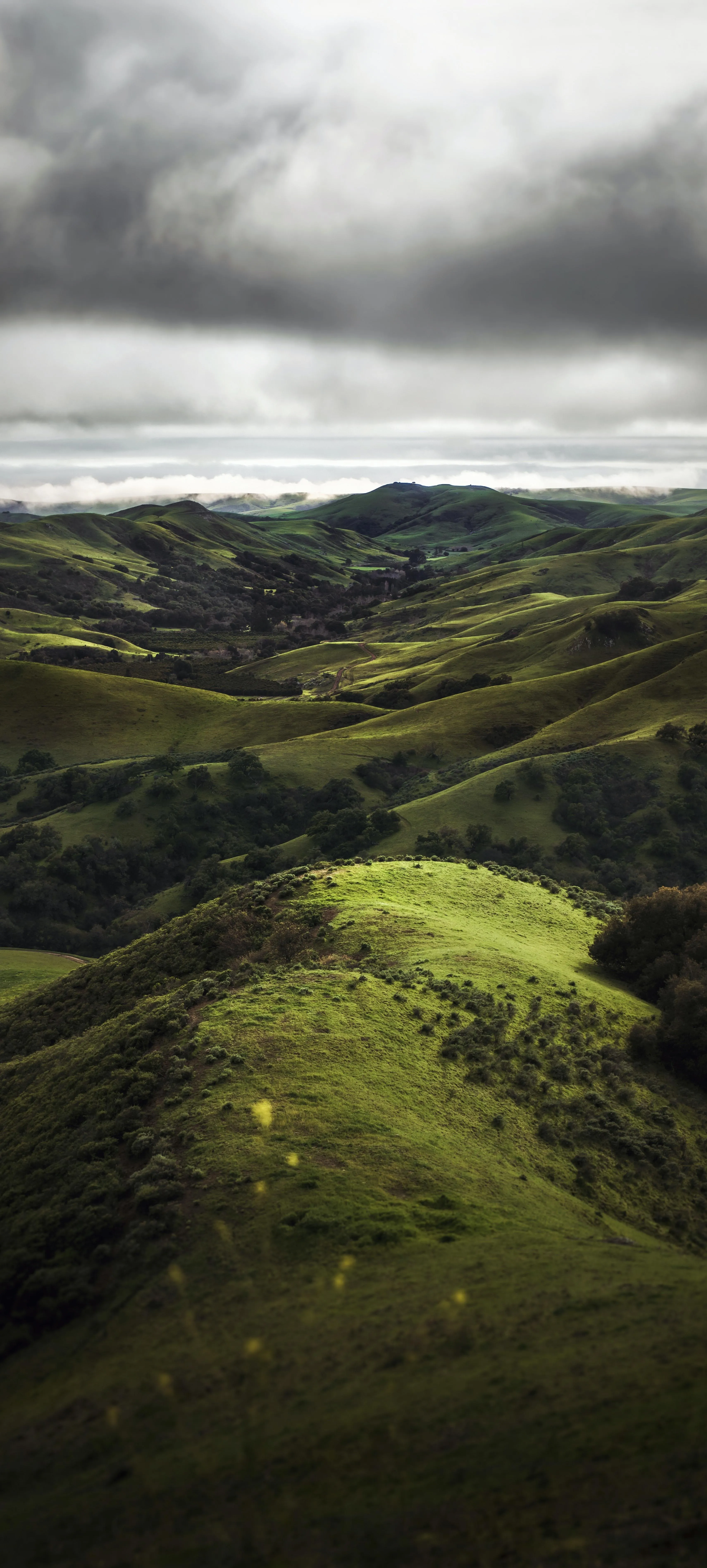 Lush Green Hills Under a Cloudy Sky in a Peaceful Landscape