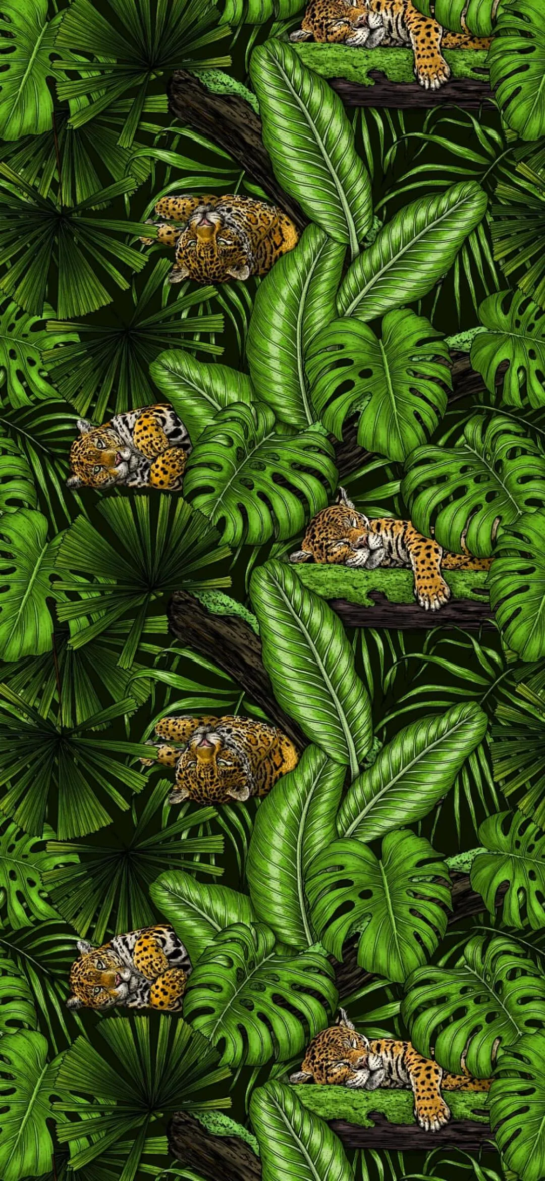Lush Tropical Leaves Natural Forest Inspired Wallpaper