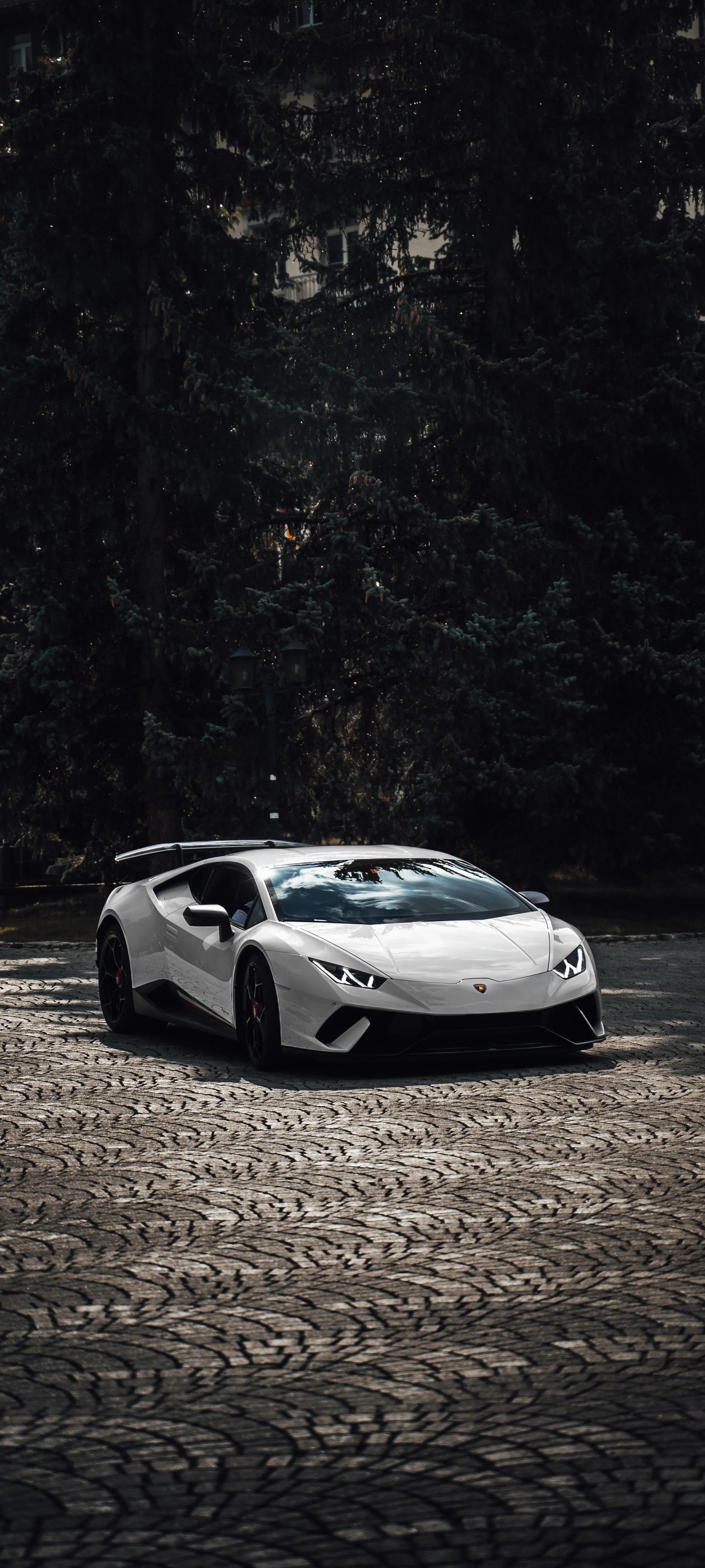 Luxury Sports Car in a Dark Forest Road Wallpaper HD