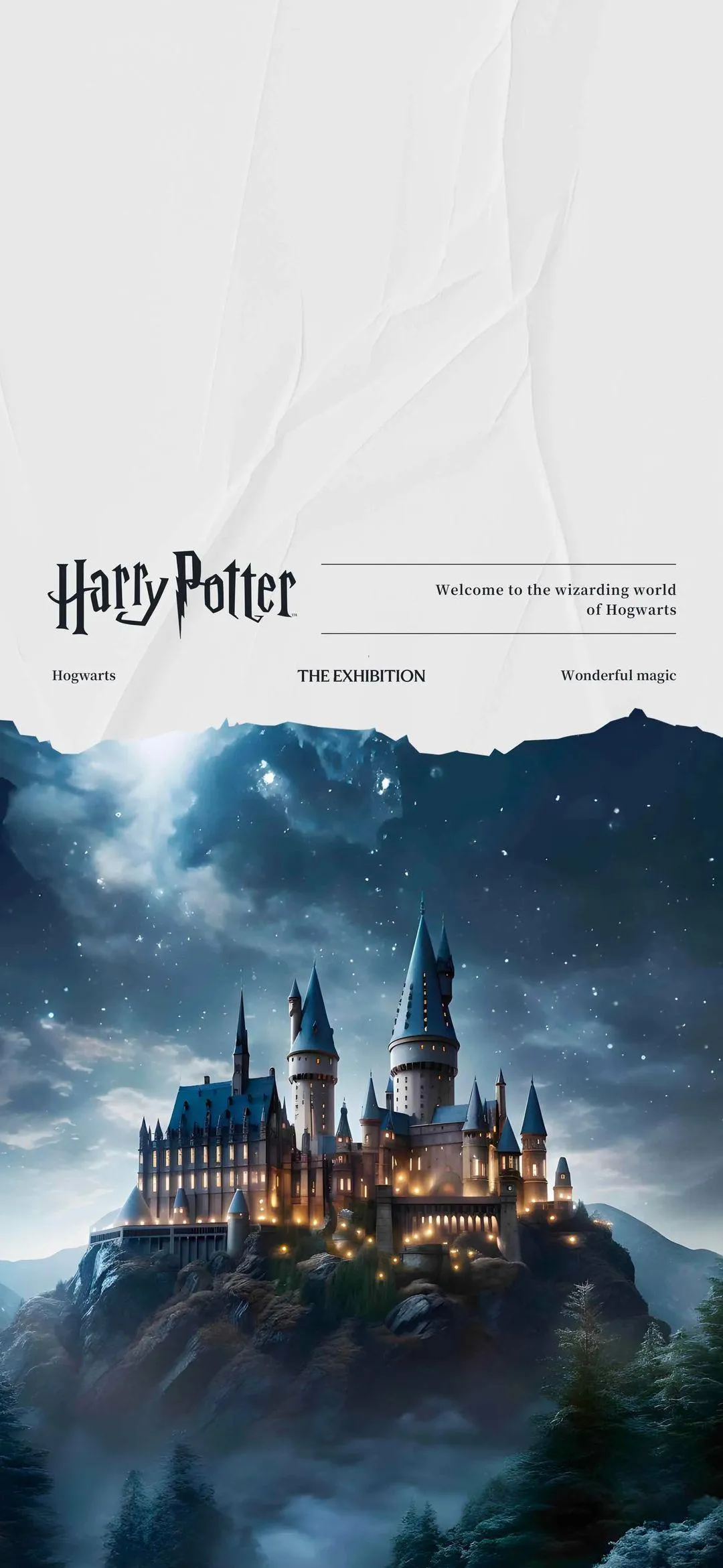 Magical Hogwarts Castle Shining Bright in Starry Night