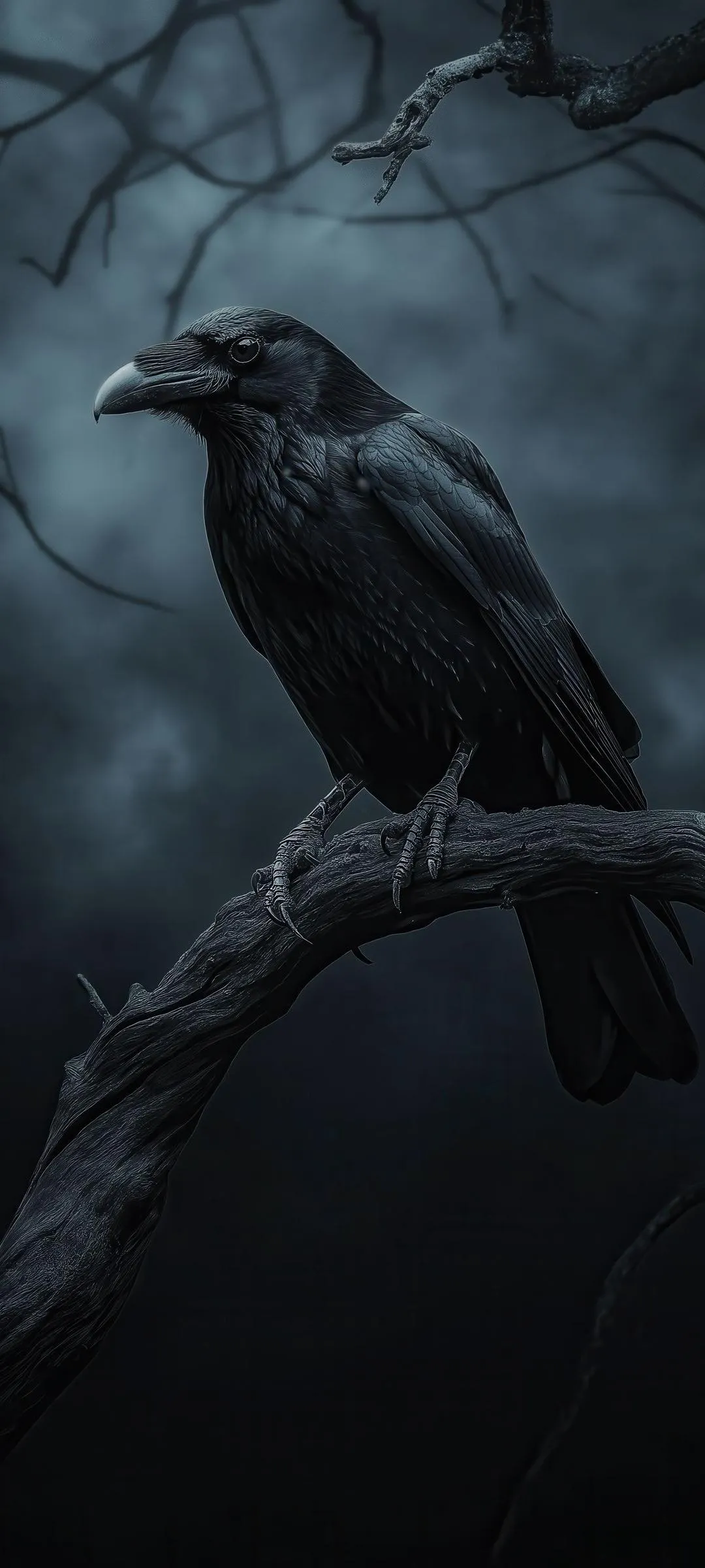 Majestic Black Raven Perched in a Mysterious Forest