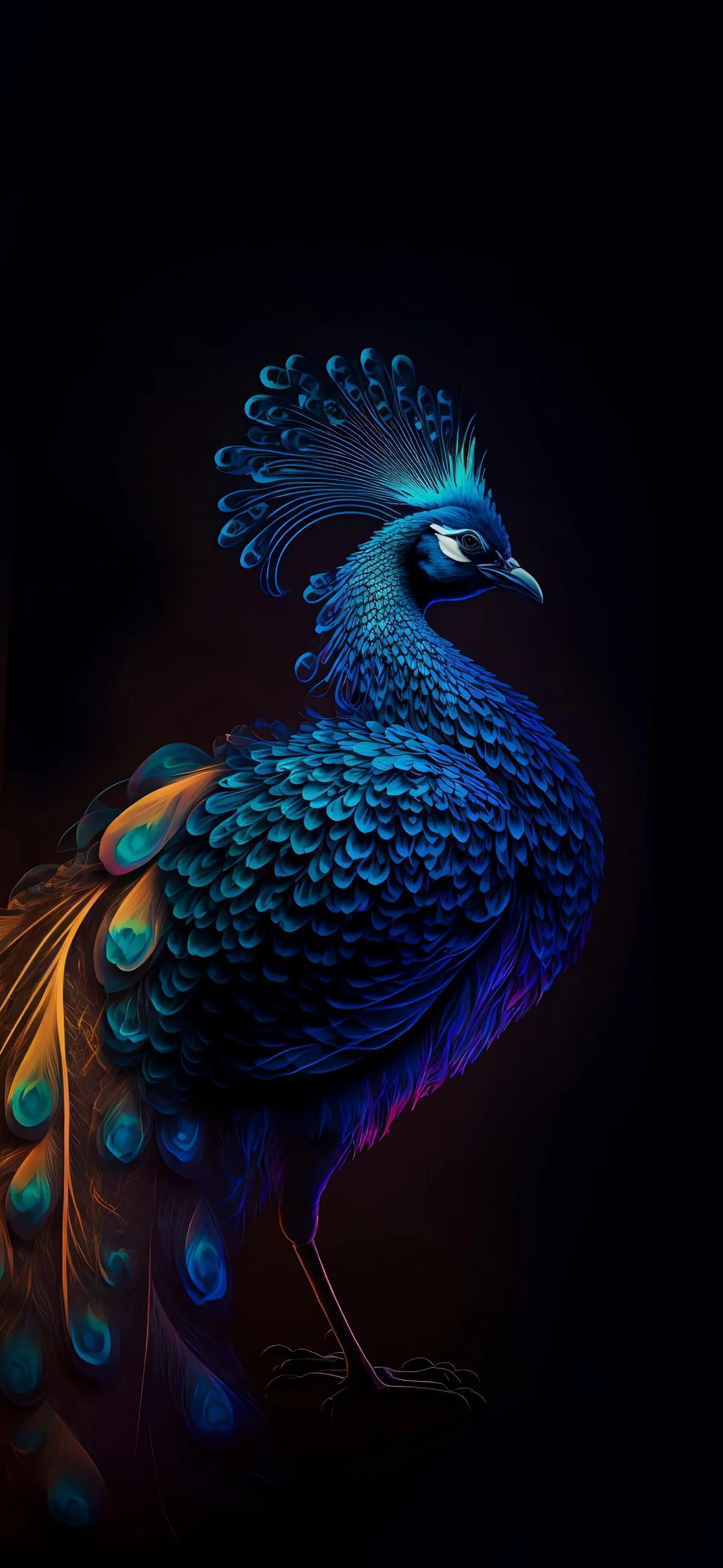 Majestic Blue Peacock With Glowing Feathers Wallpaper