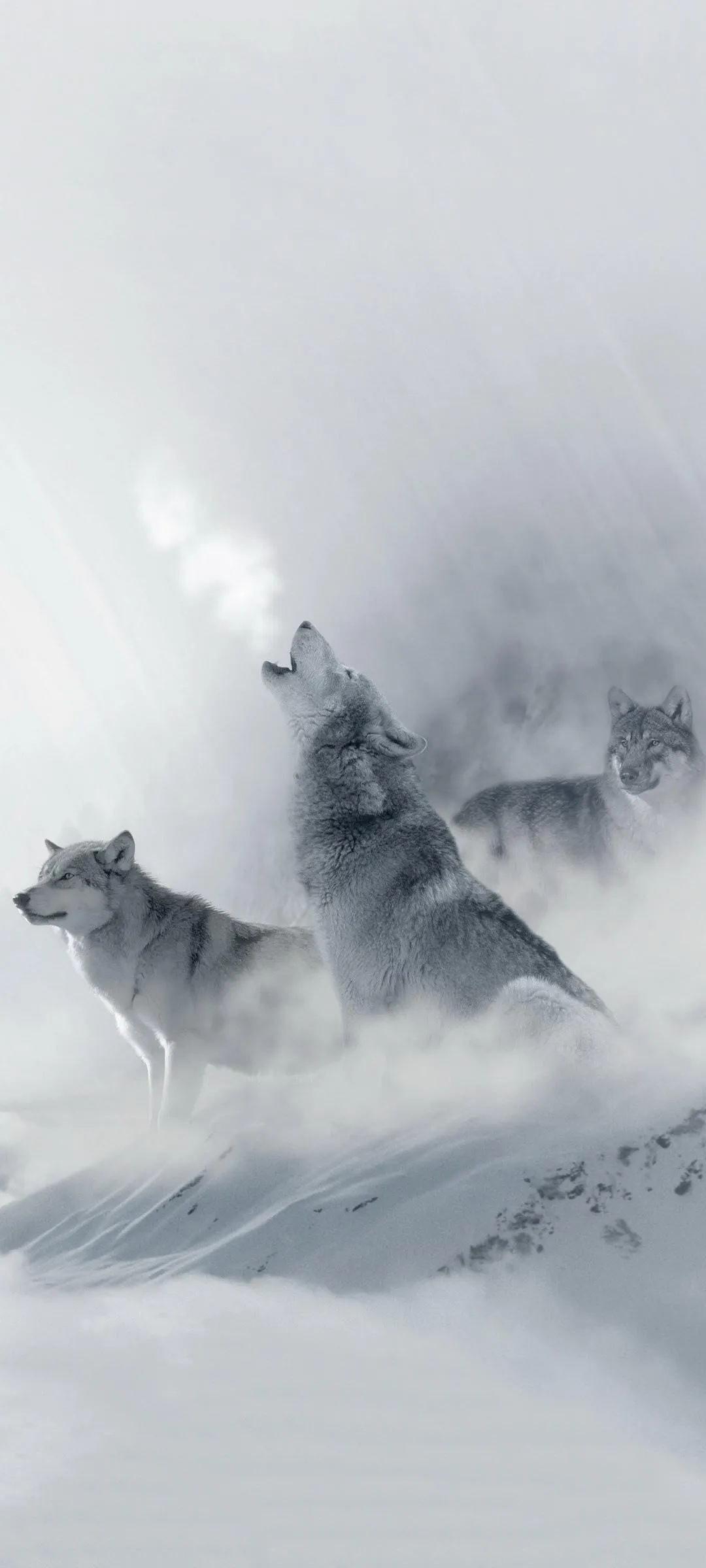 Majestic Snowy Mountain Peak in Cold Misty Clouds Wallpaper