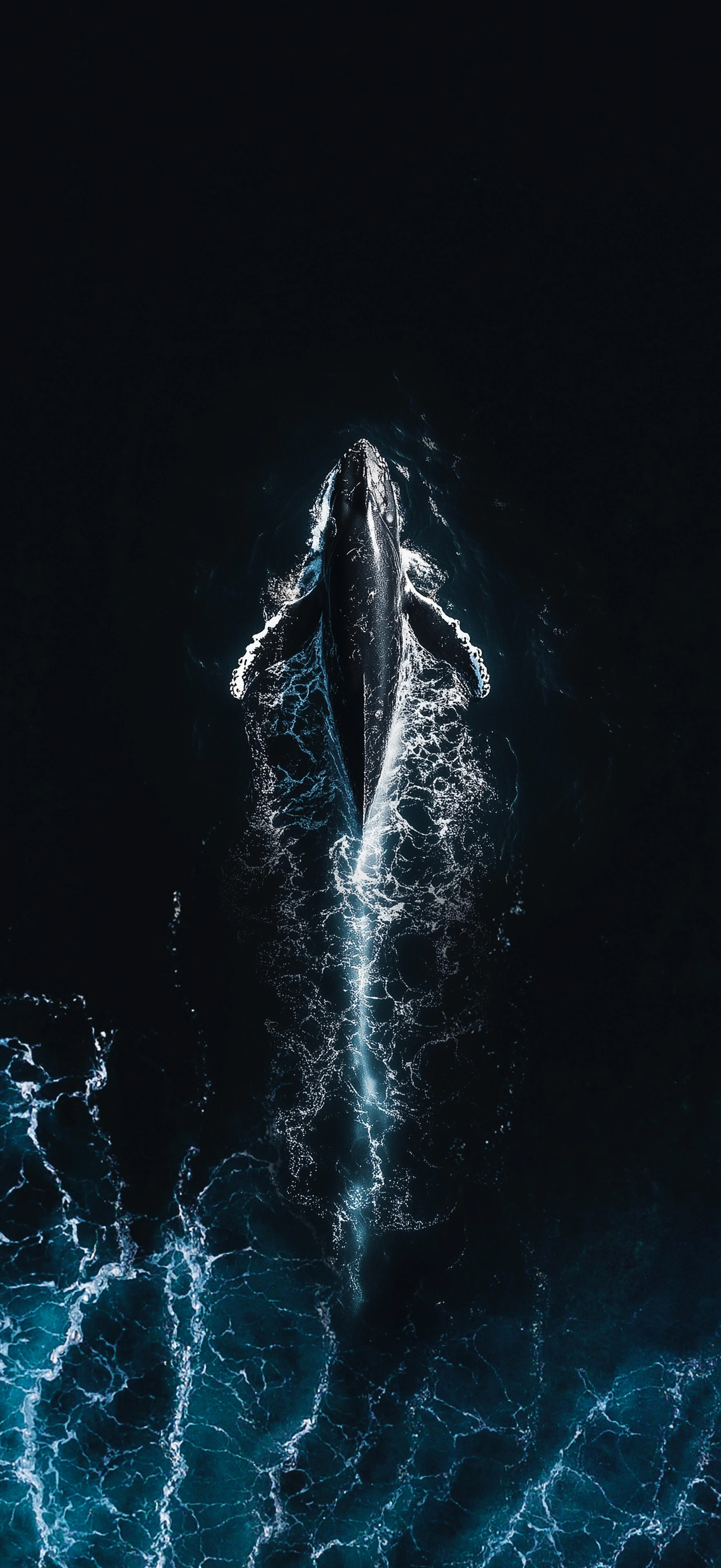 Majestic Whale Swimming Through Deep Dark Ocean Waters