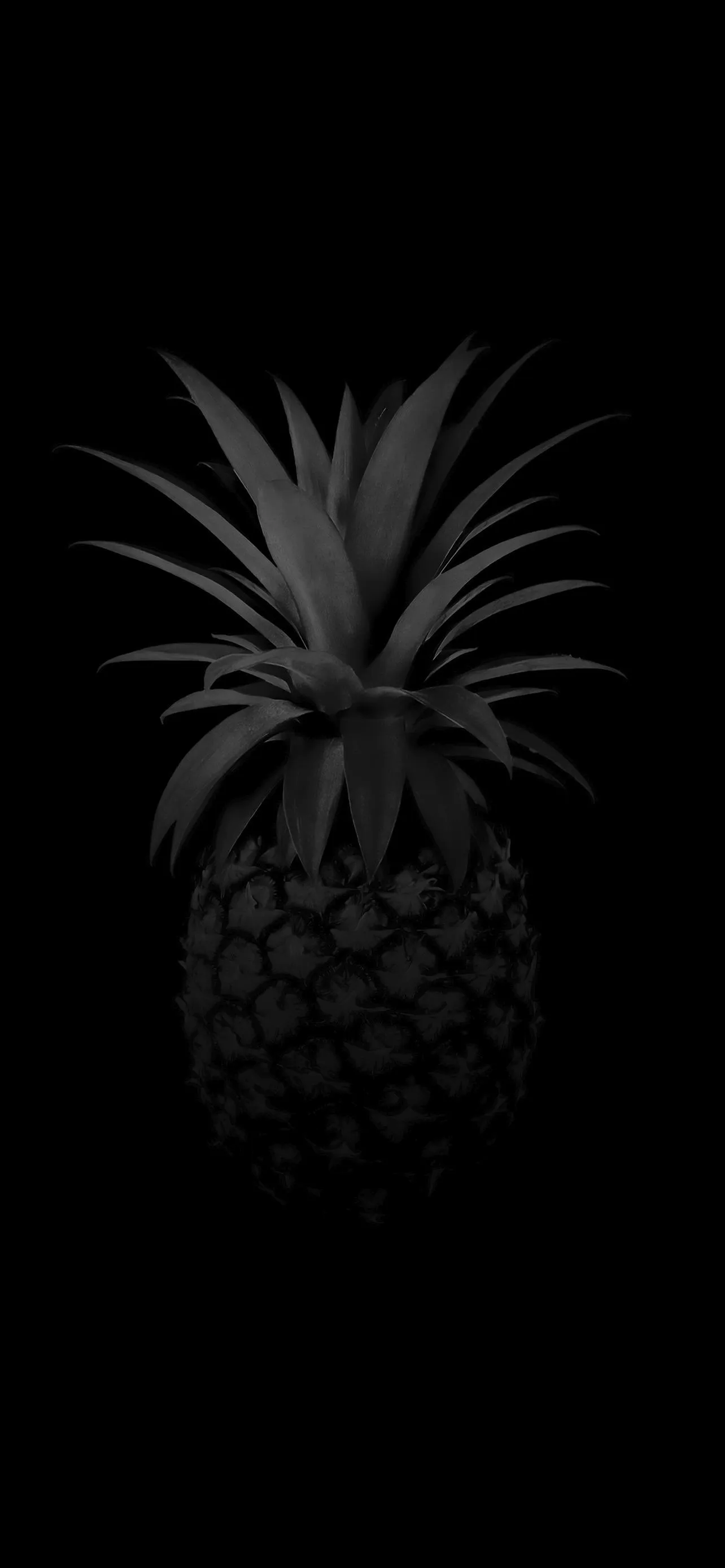 Minimal Black Pineapple Aesthetic Phone Wallpaper HD