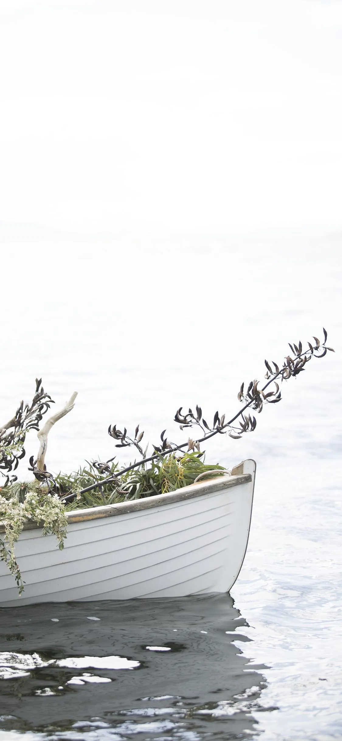 Minimal Boat with Plants on Water Aesthetic Mobile Wallpaper